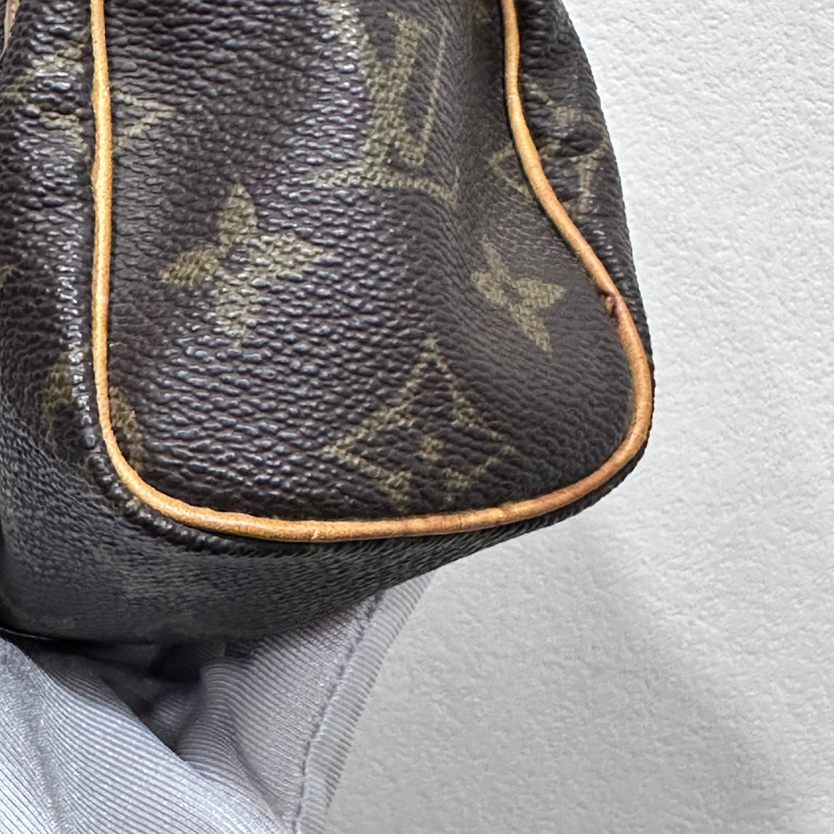 LOUIS VUITTON Nano Speedy Monogram