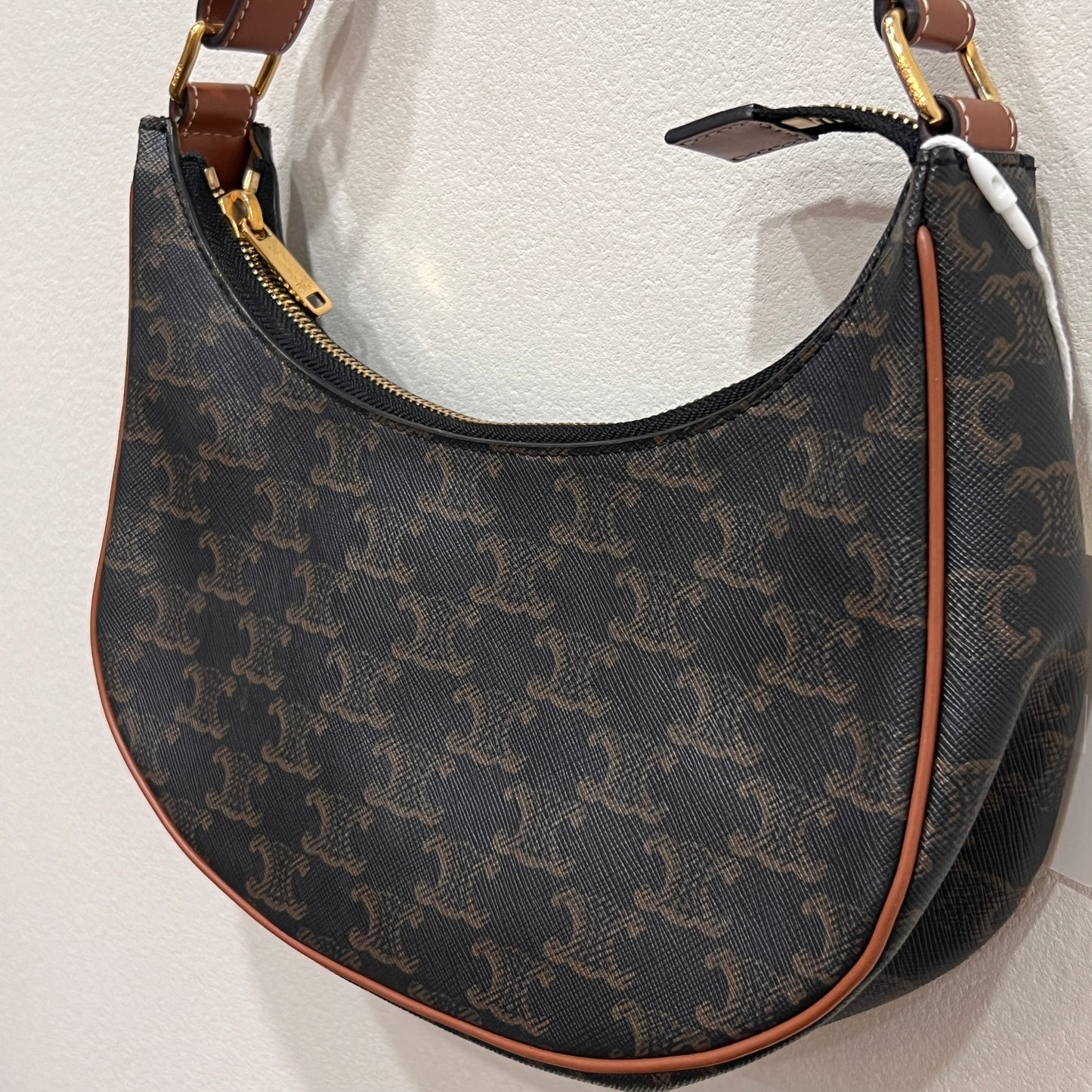 CELINE Ava Bag Triomphe Canvas