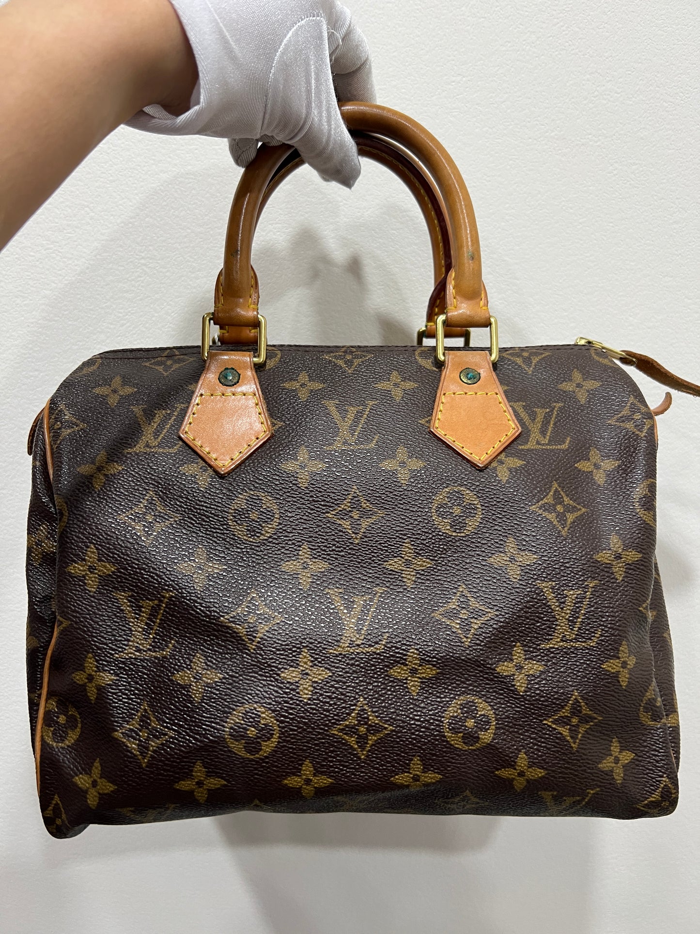 LOUIS VUITTON Speedy 25