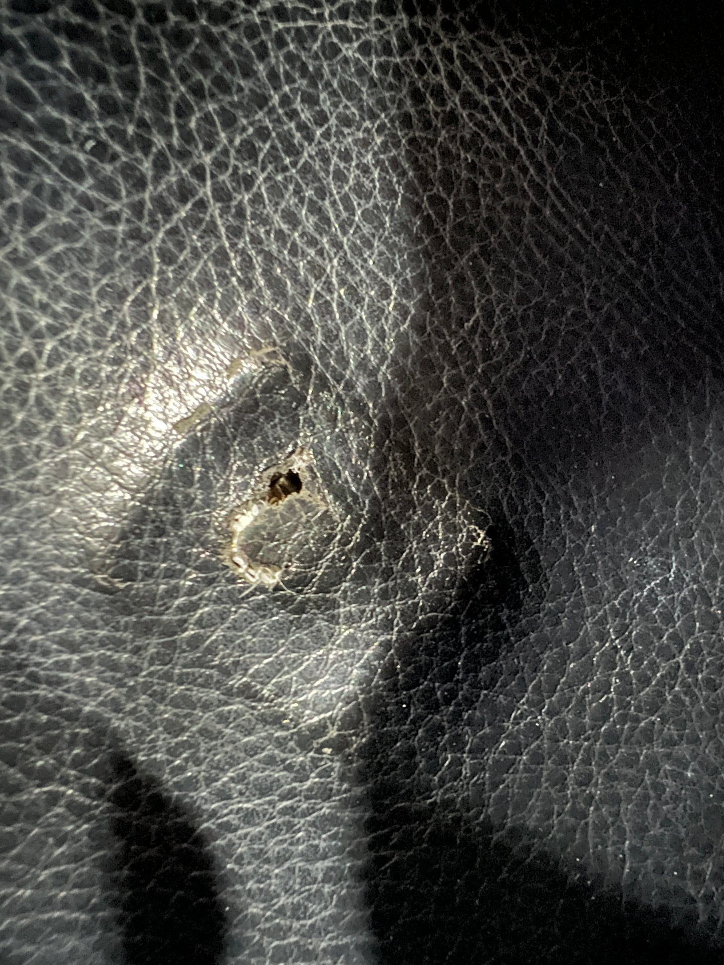 FENDI Vintage PVC Shoulder Bag