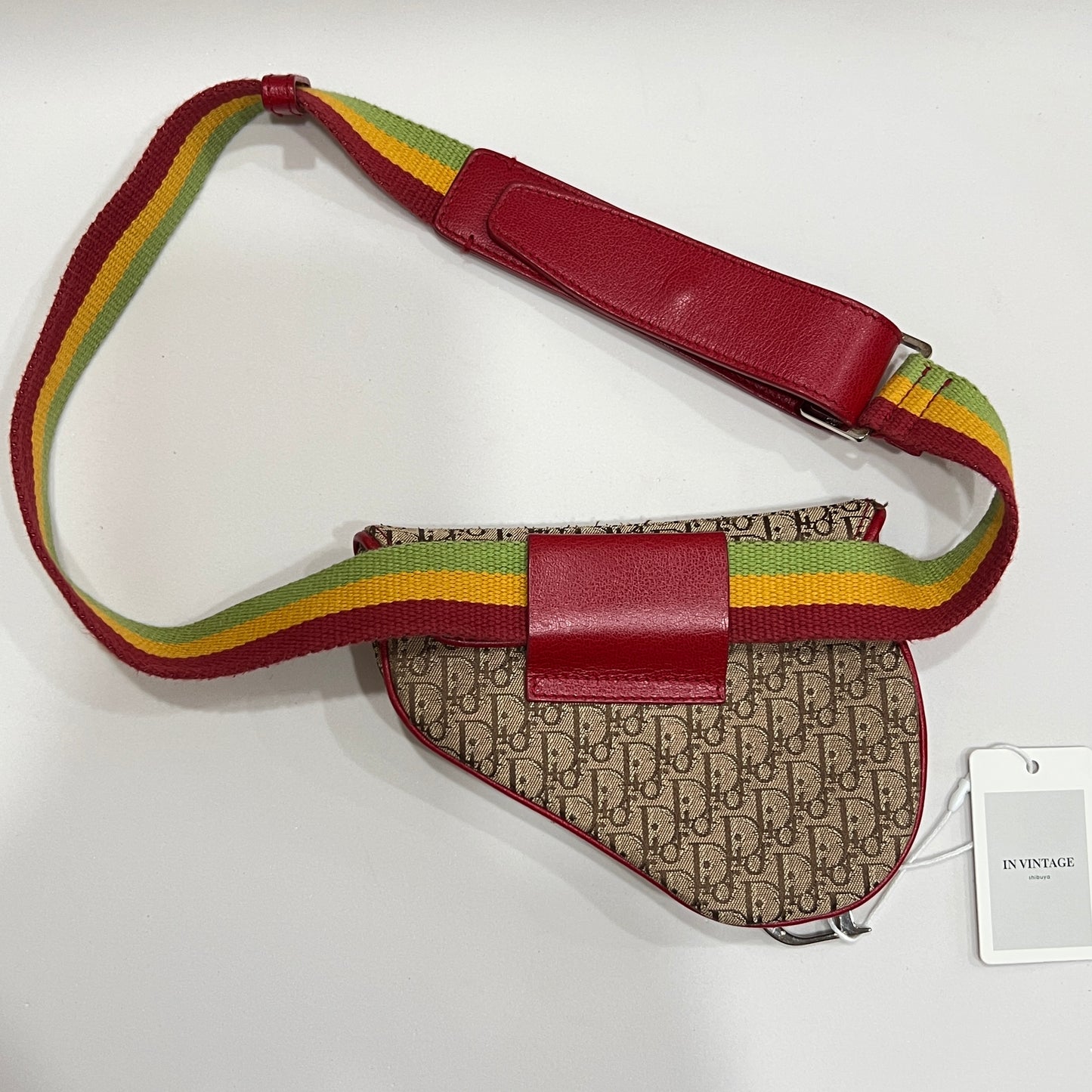 DIOR Rasta Trotter Belt Bag