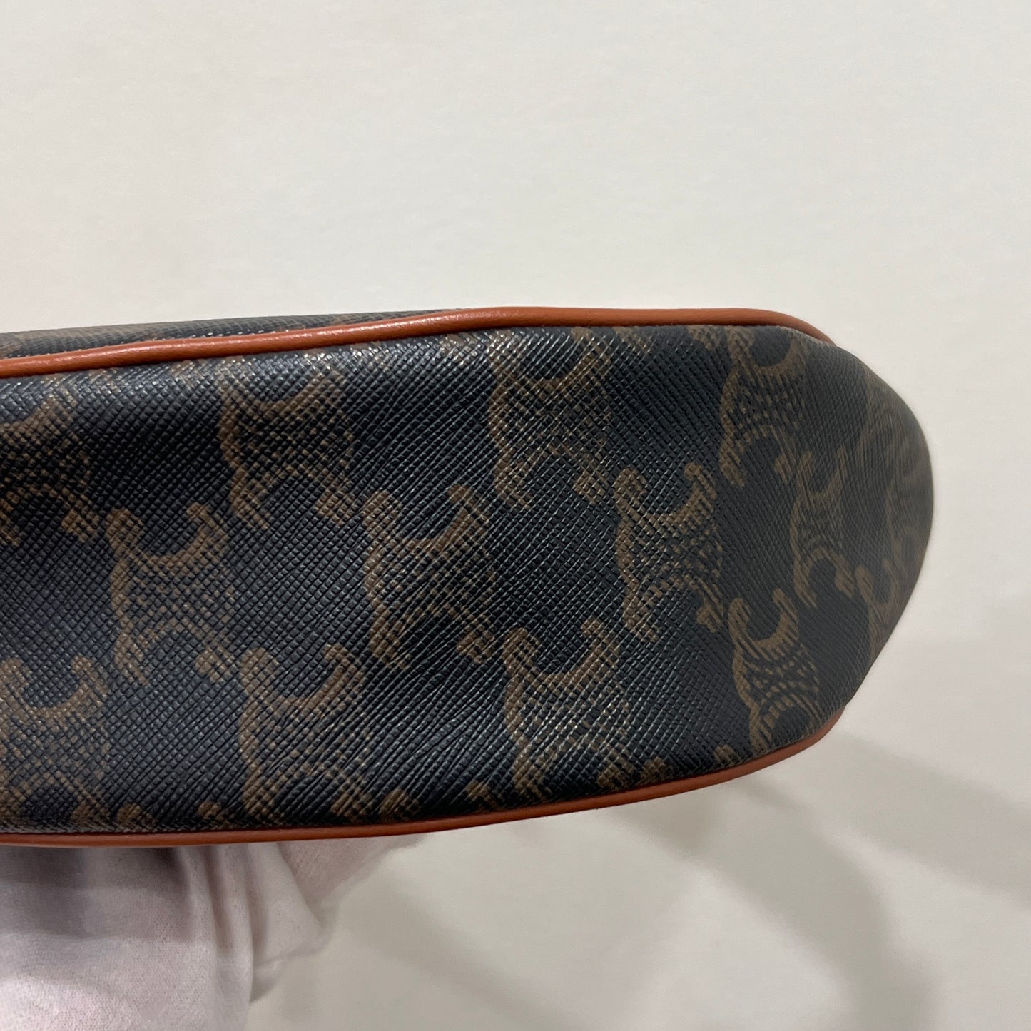 CELINE Ava Bag Triomphe Canvas