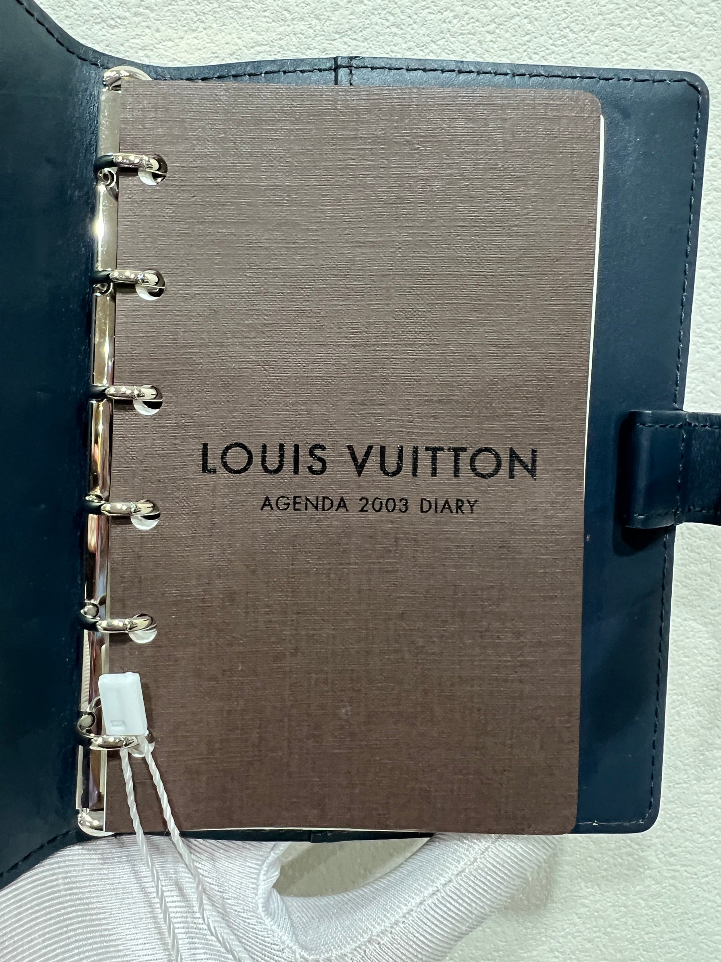 LOUIS VUITTON Agenda Blue Monogram