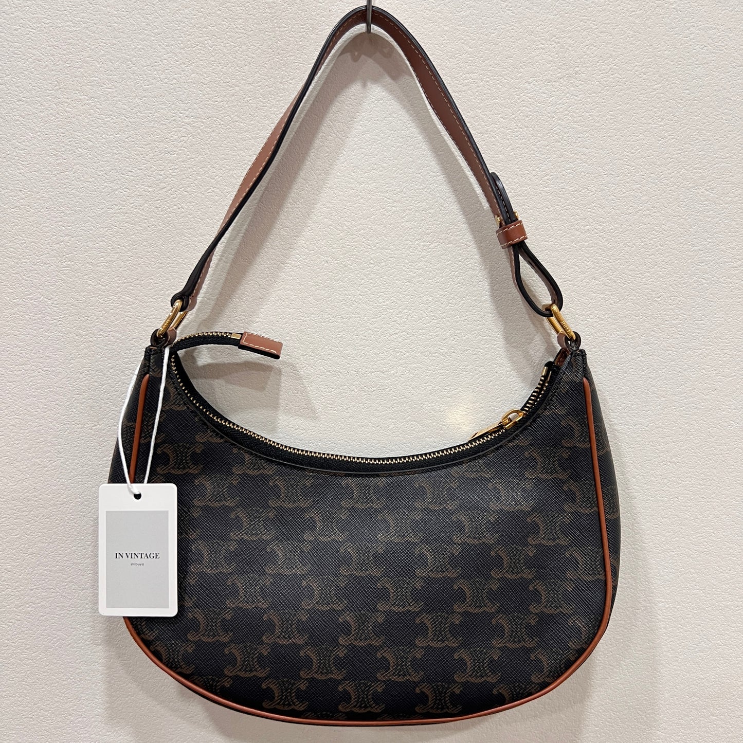 CELINE Ava Bag Triomphe Canvas