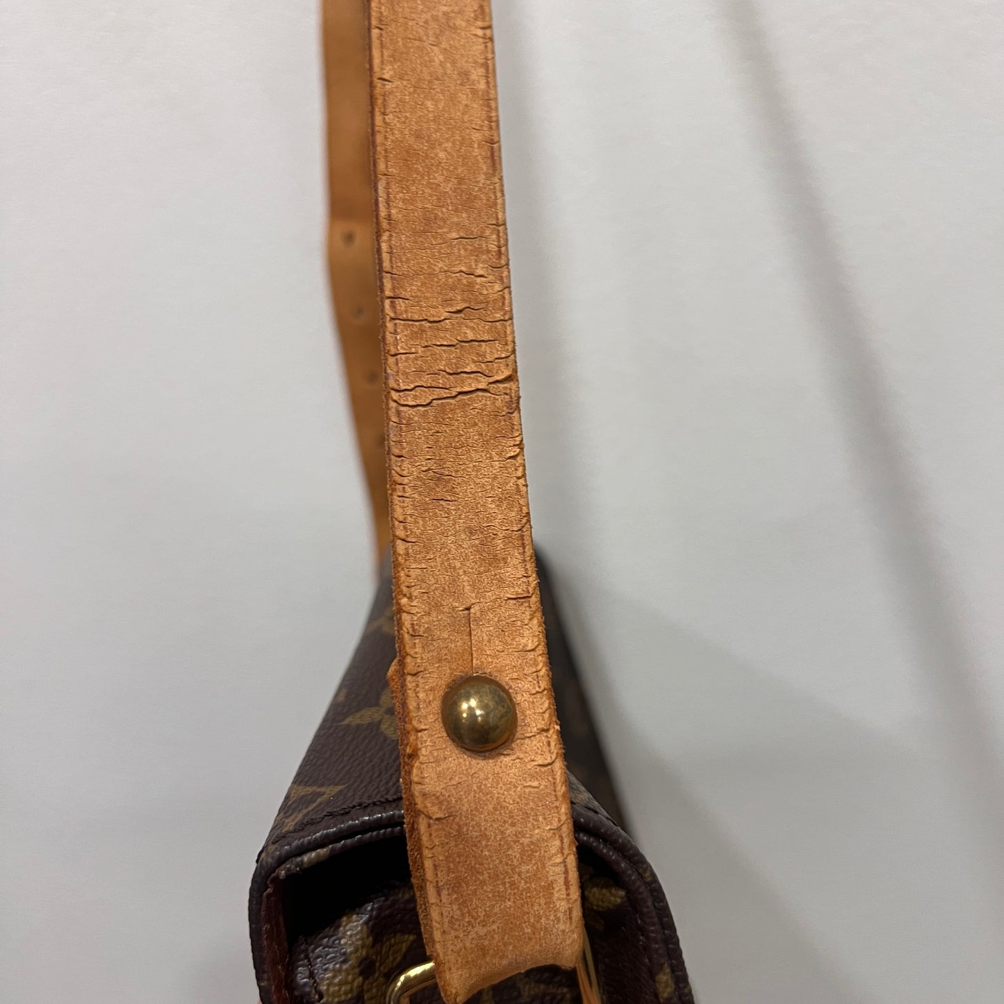 LOUIS VUITTON Cartesier GM