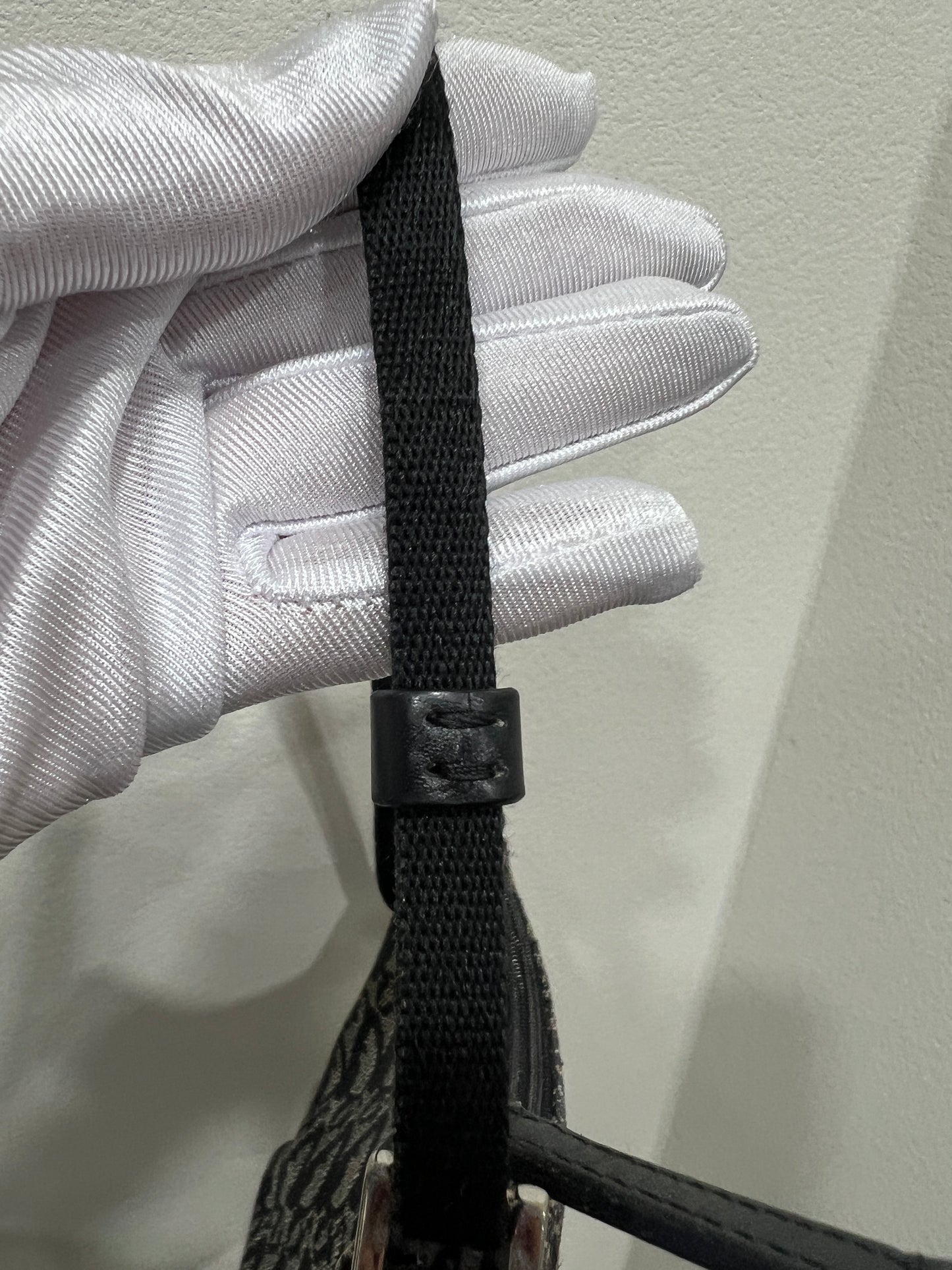 DIOR Trotter Shoulder Bag