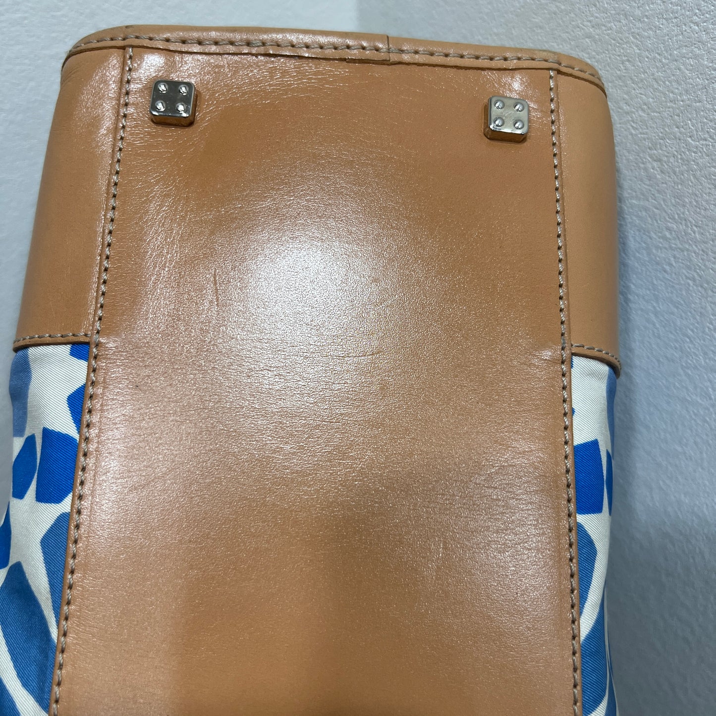 LOEWE Amazona in Blue