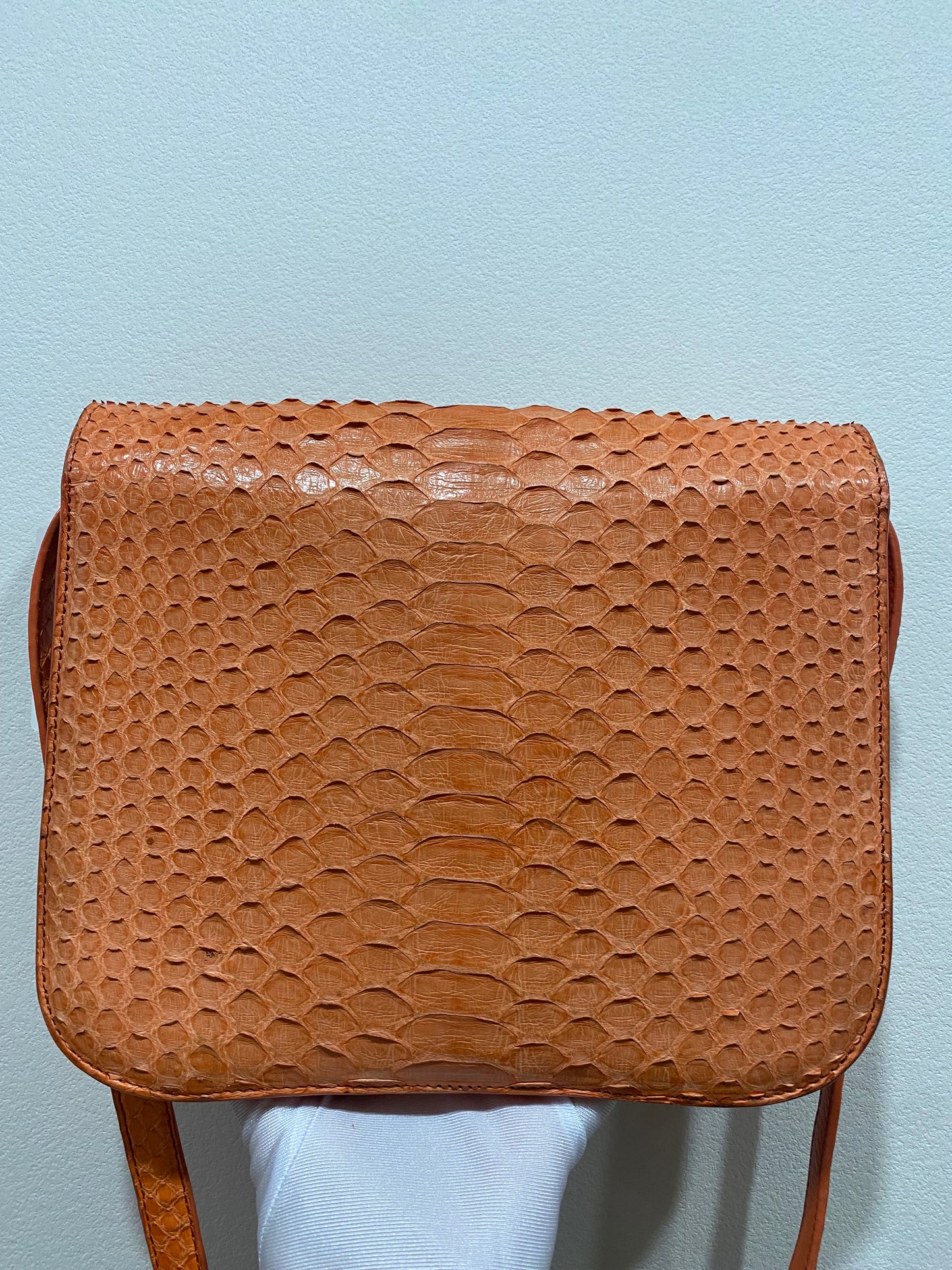 CELINE Phyton Box Shoulder Bag