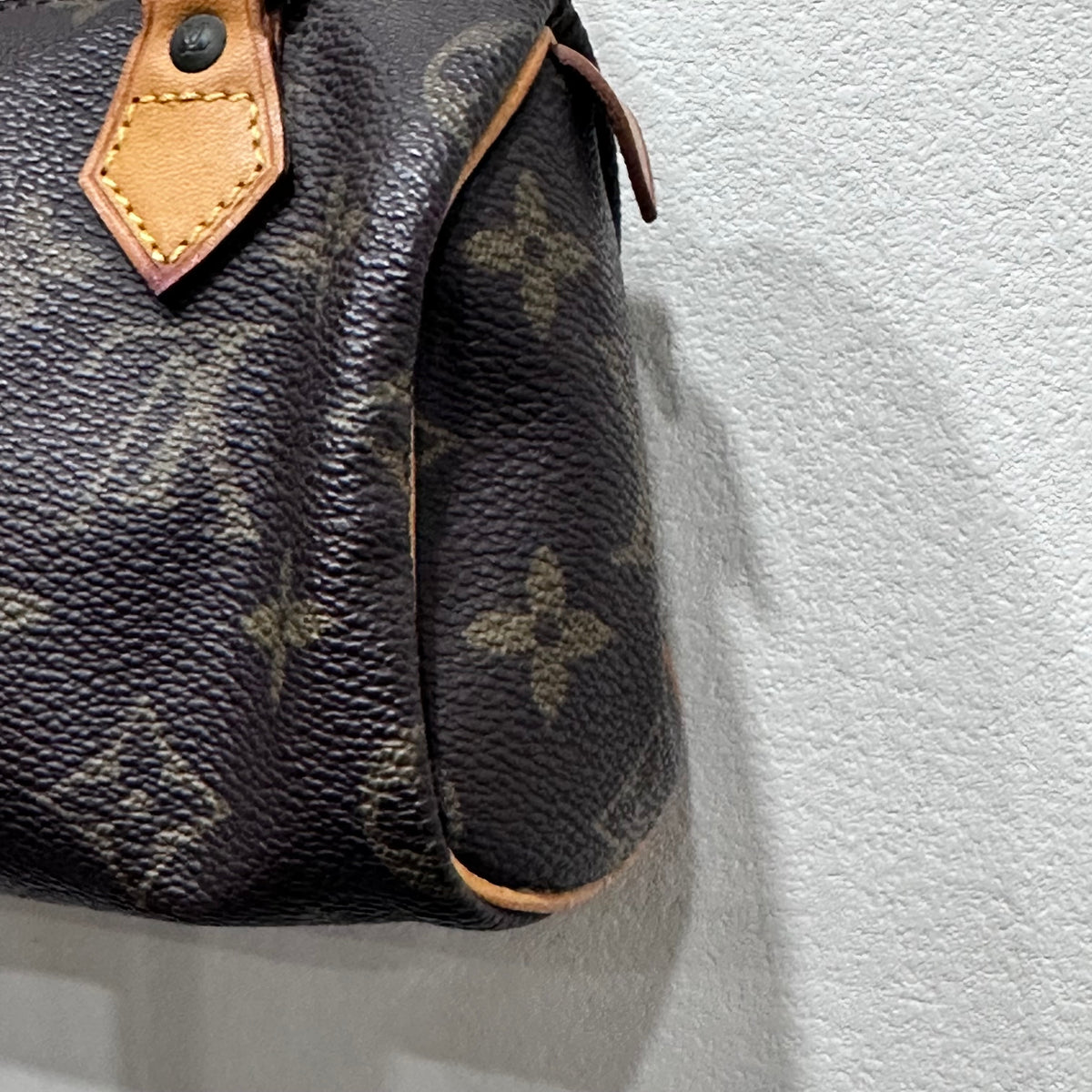 LOUIS VUITTON Nano Speedy Monogram