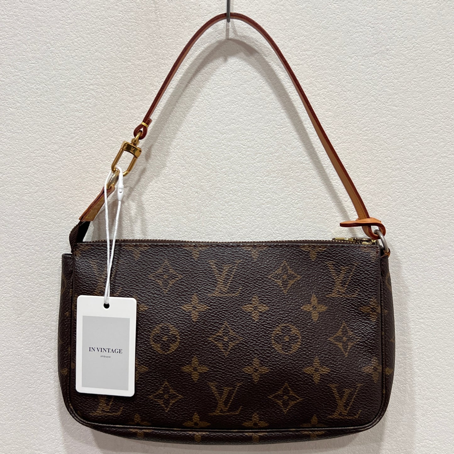 LOUIS VUITTON Accessory Pochette (CA0070)