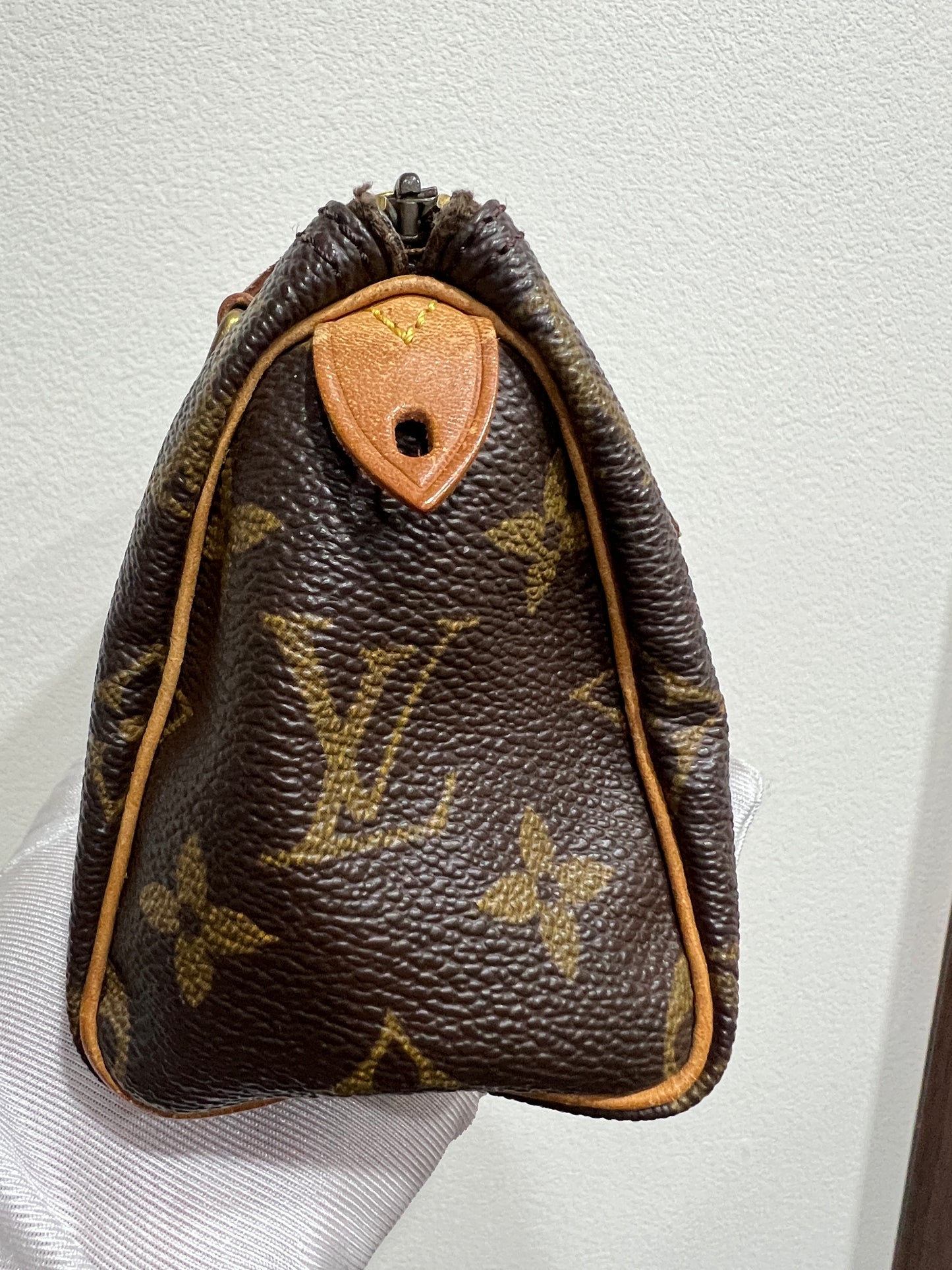 LOUIS VUITTON Nano Speedy