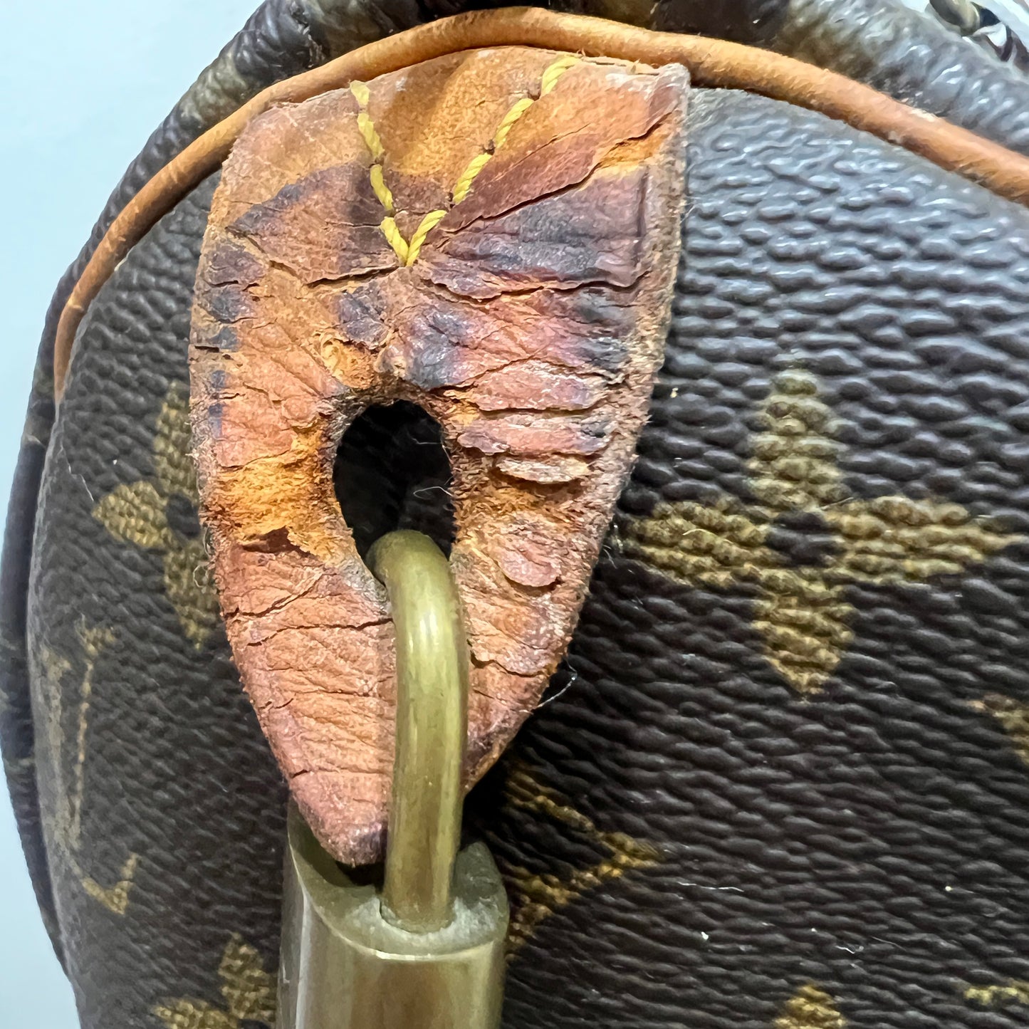 LOUIS VUITTON Speedy 25cm