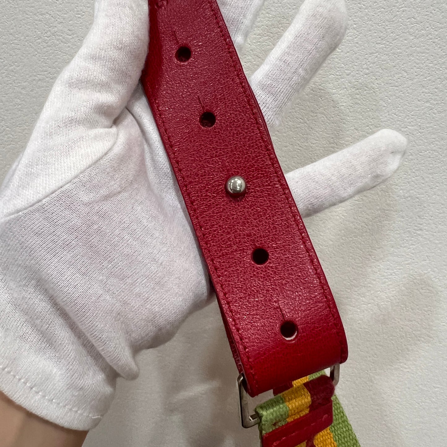 DIOR Rasta Trotter Belt Bag