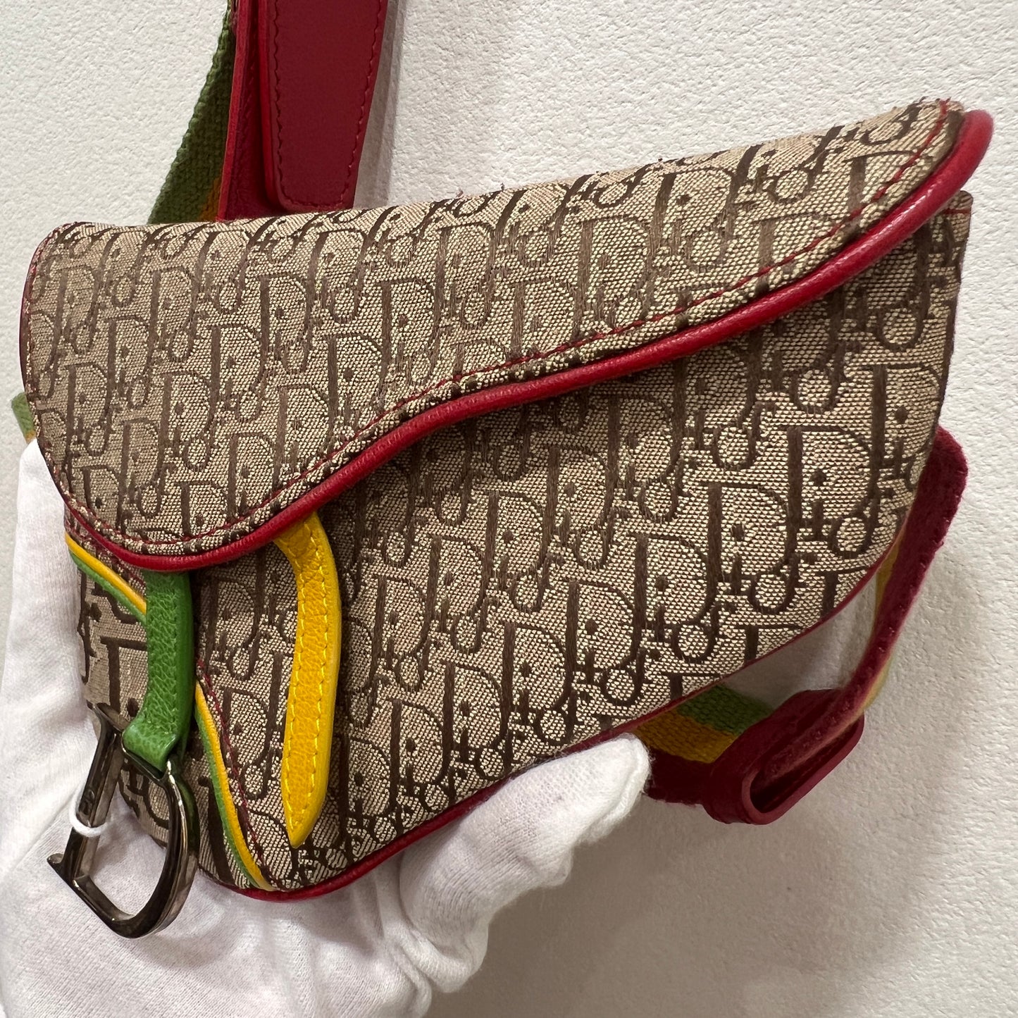 DIOR Rasta Trotter Belt Bag