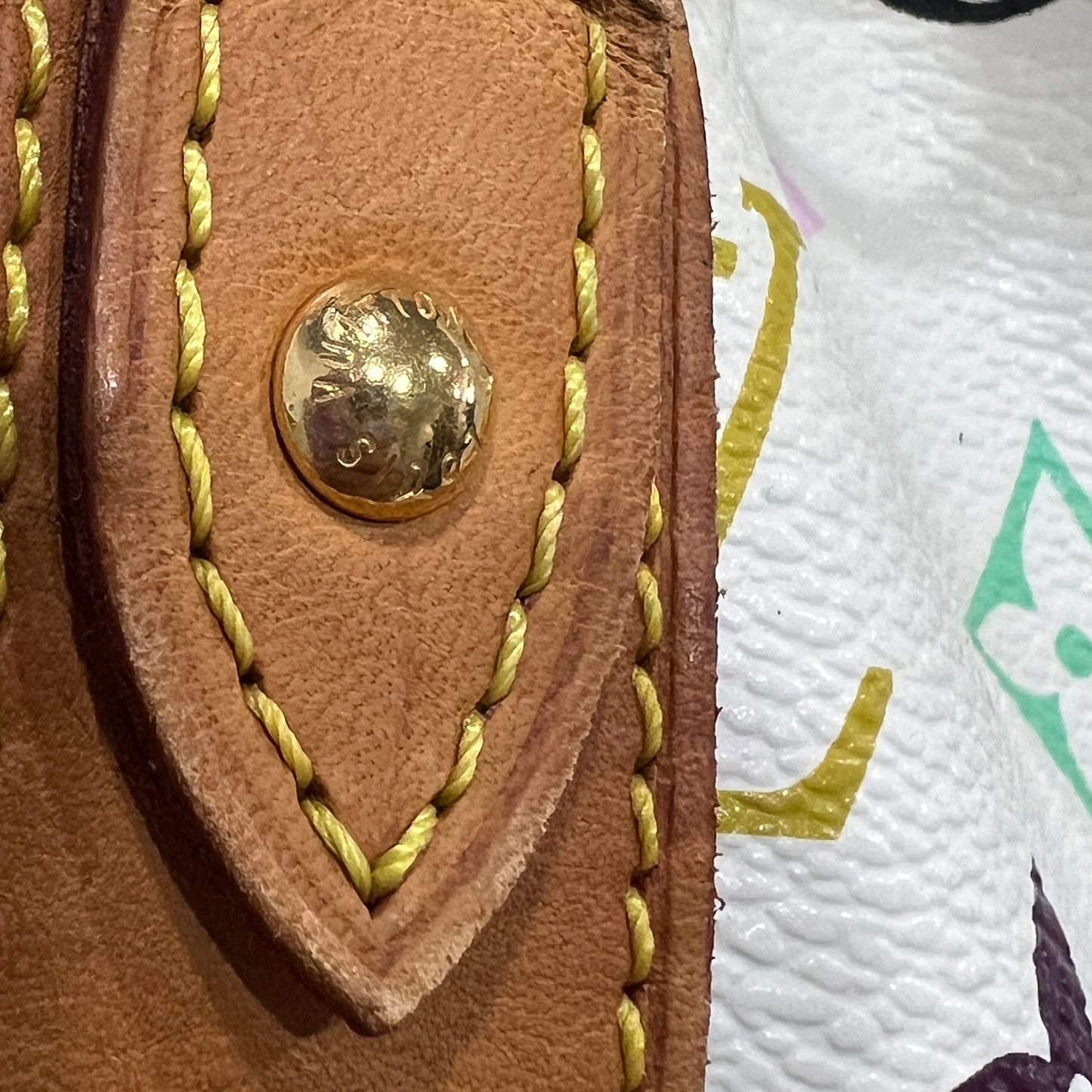 LOUIS VUITTON X Murakami Noe Multicolored