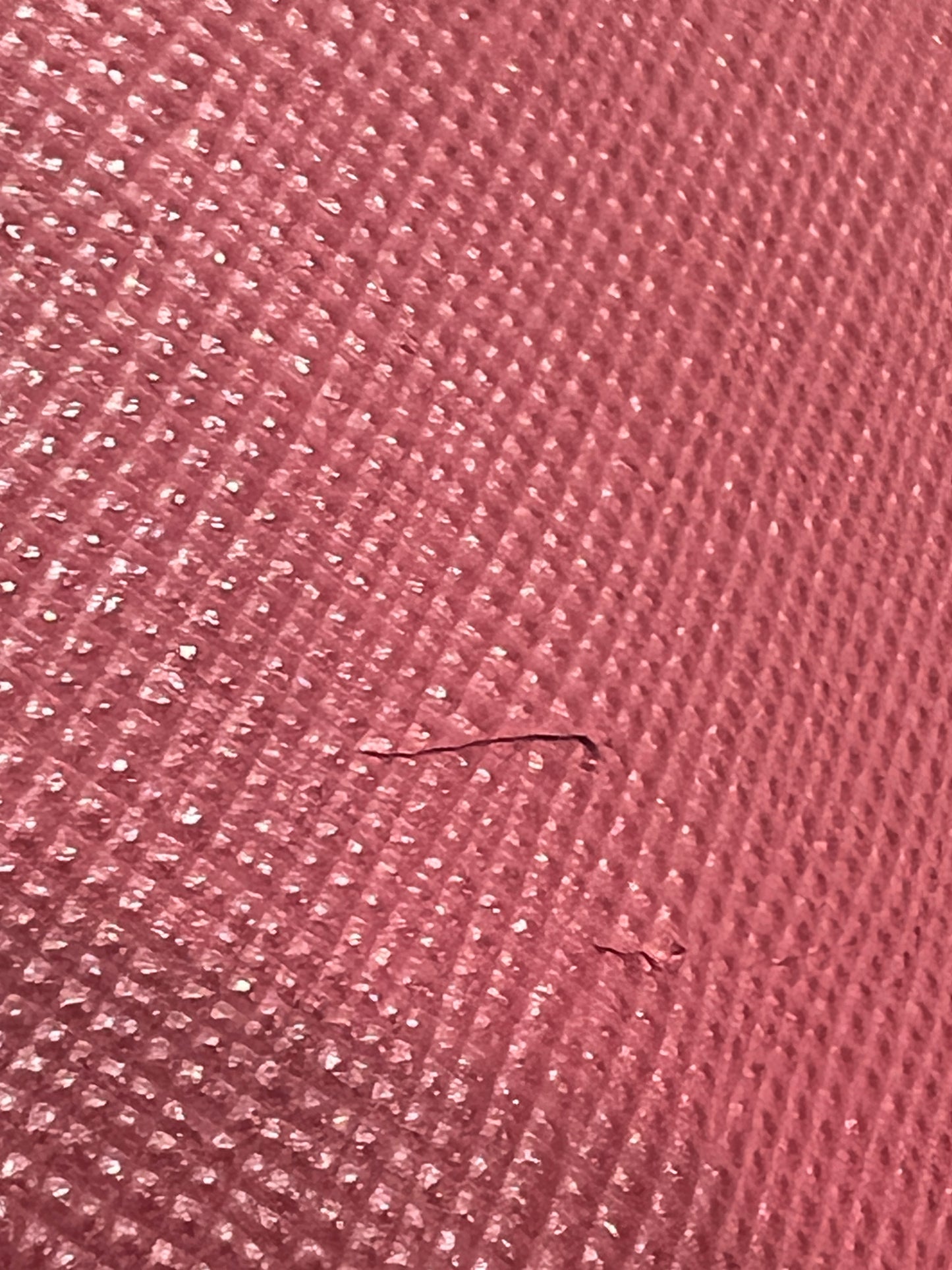 PRADA Saffiano Wallet on Strap with Mirror