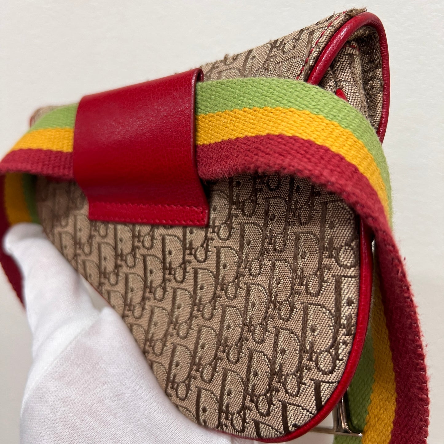 DIOR Rasta Trotter Belt Bag
