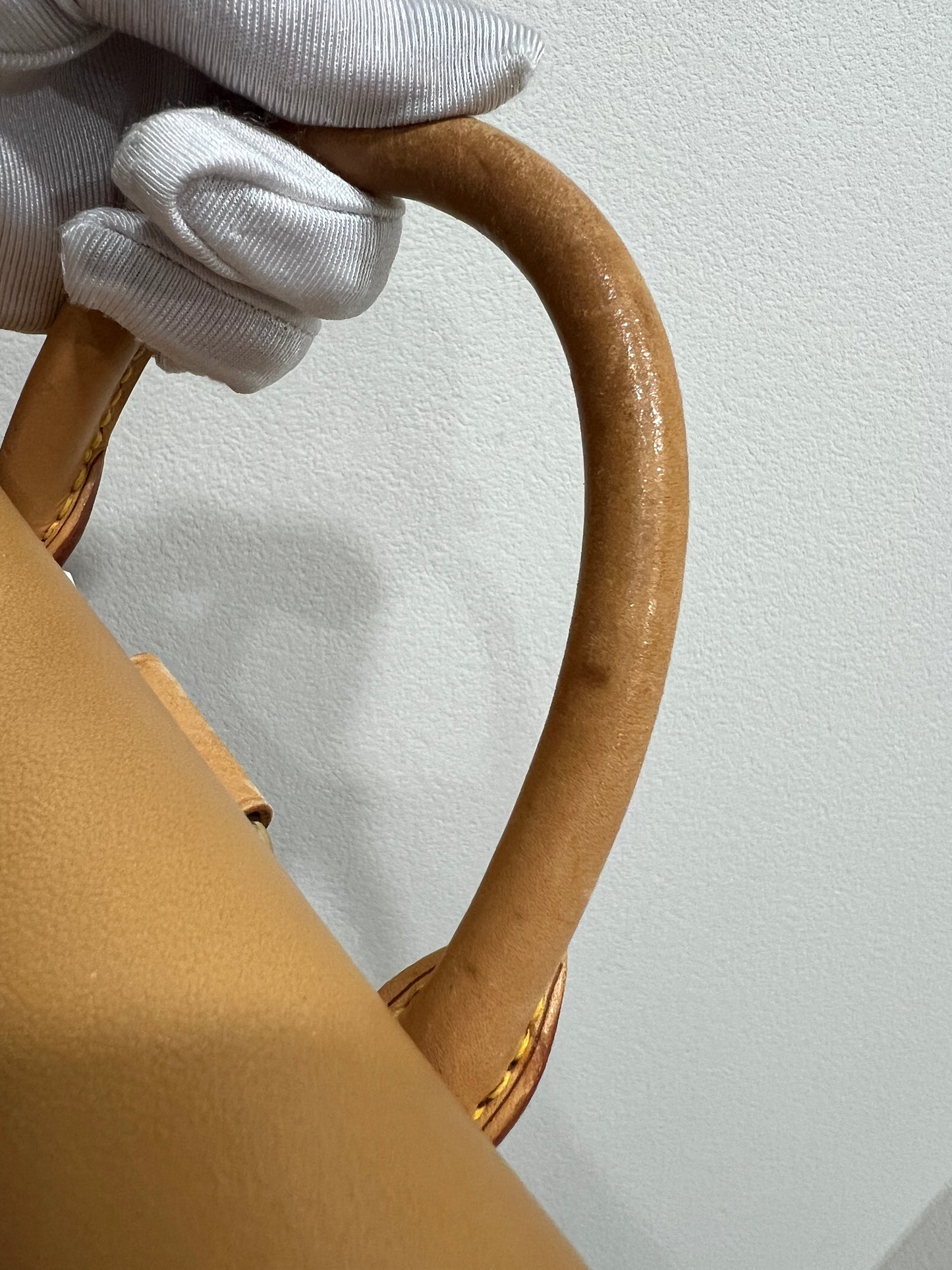 LOUIS VUITTON Arlequin Damier Backpack