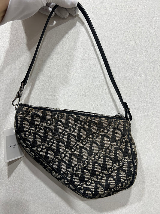 Dior Oblique Saddle Bag
