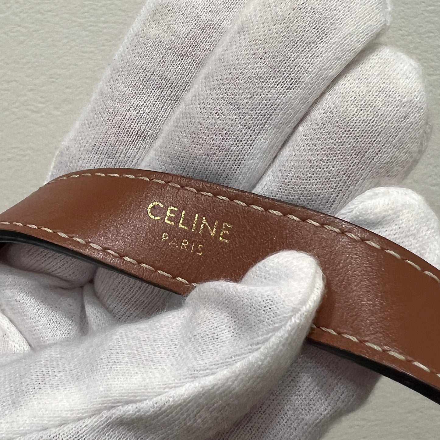 CELINE Ava Bag Triomphe Canvas