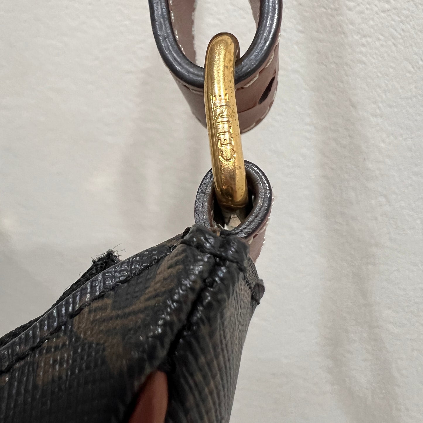 CELINE Ava Bag Triomphe Canvas