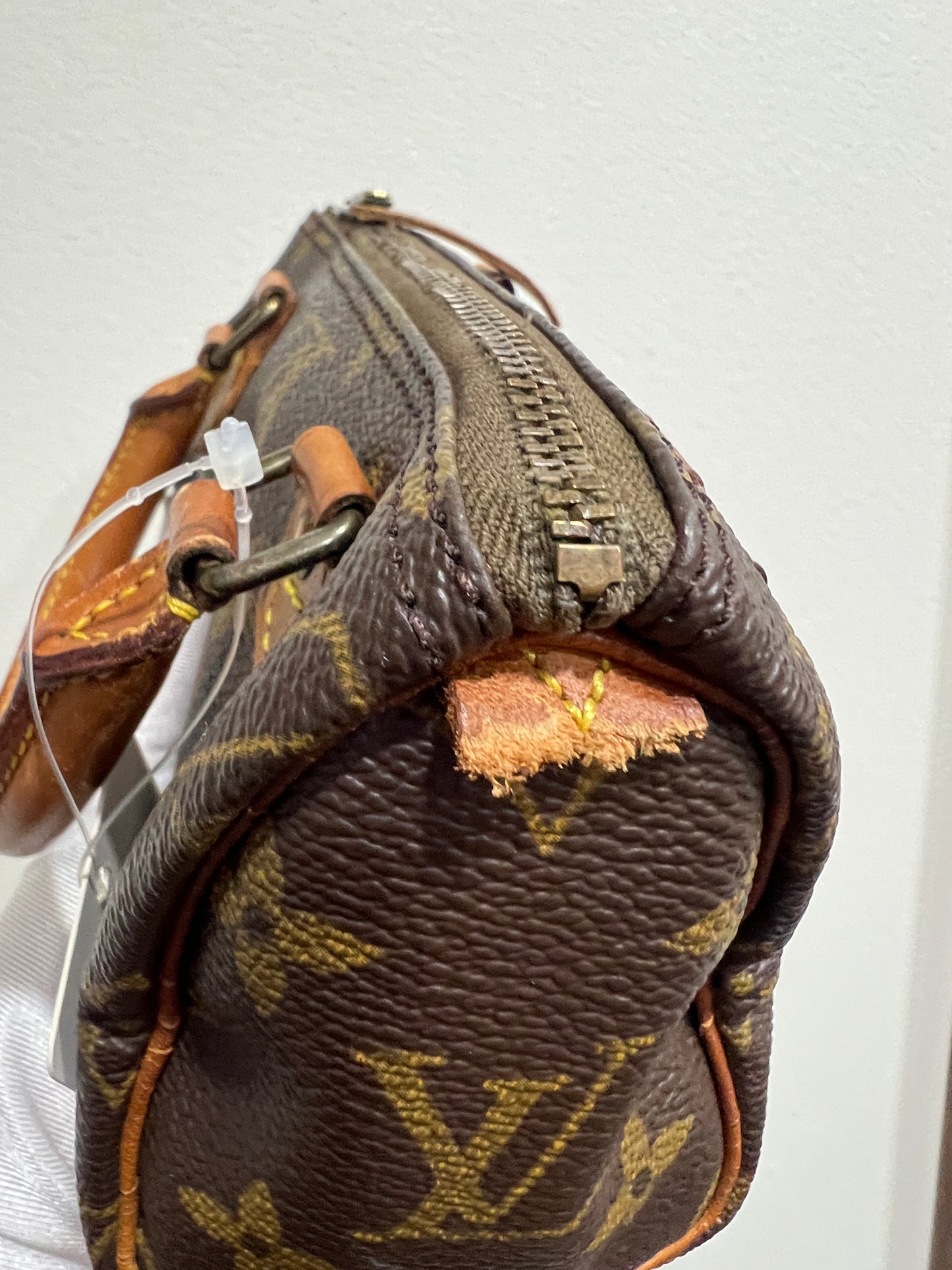 LOUIS VUITTON Nano Speedy