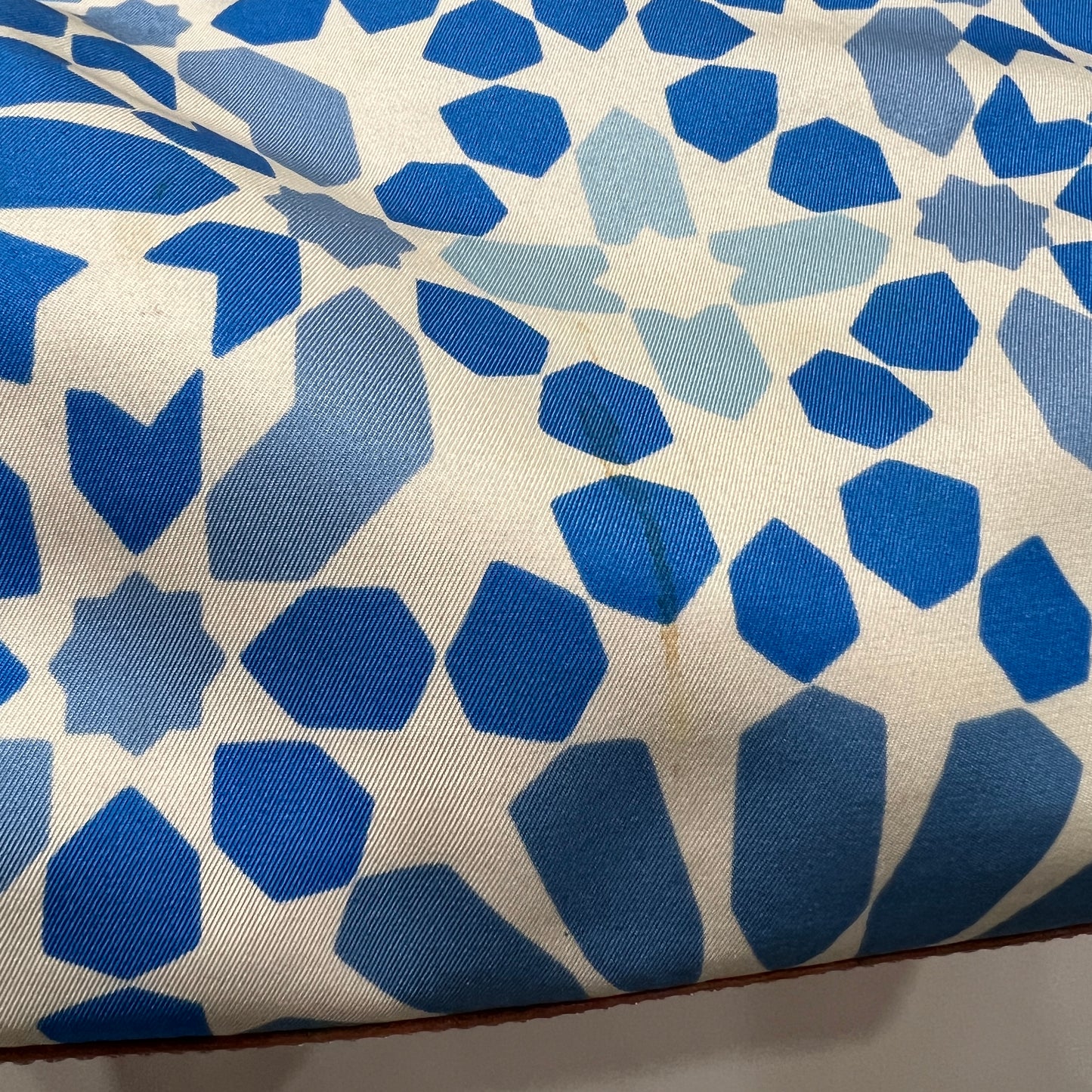 LOEWE Amazona in Blue