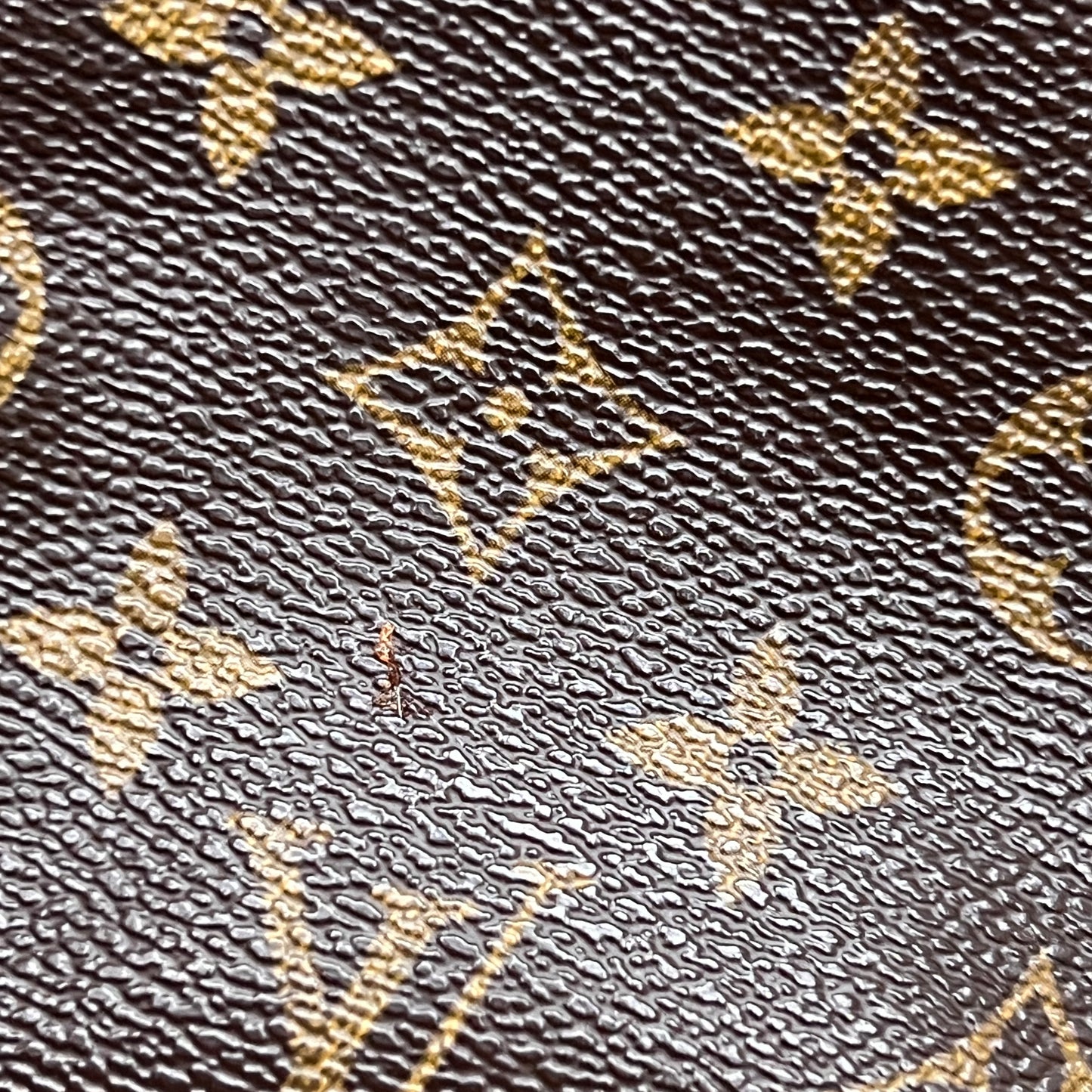 LOUIS VUITTON Viva Cite PM