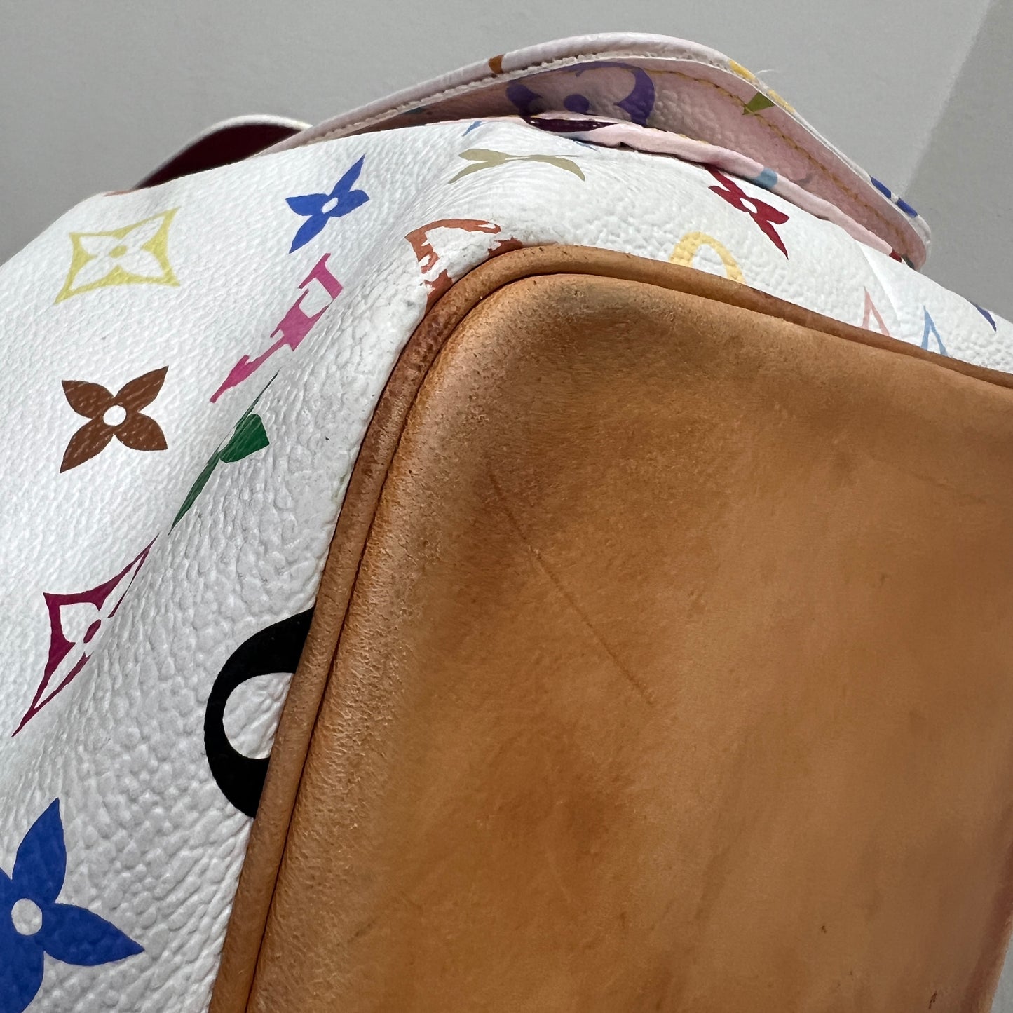 LOUIS VUITTON X Murakami Noe Multicolored