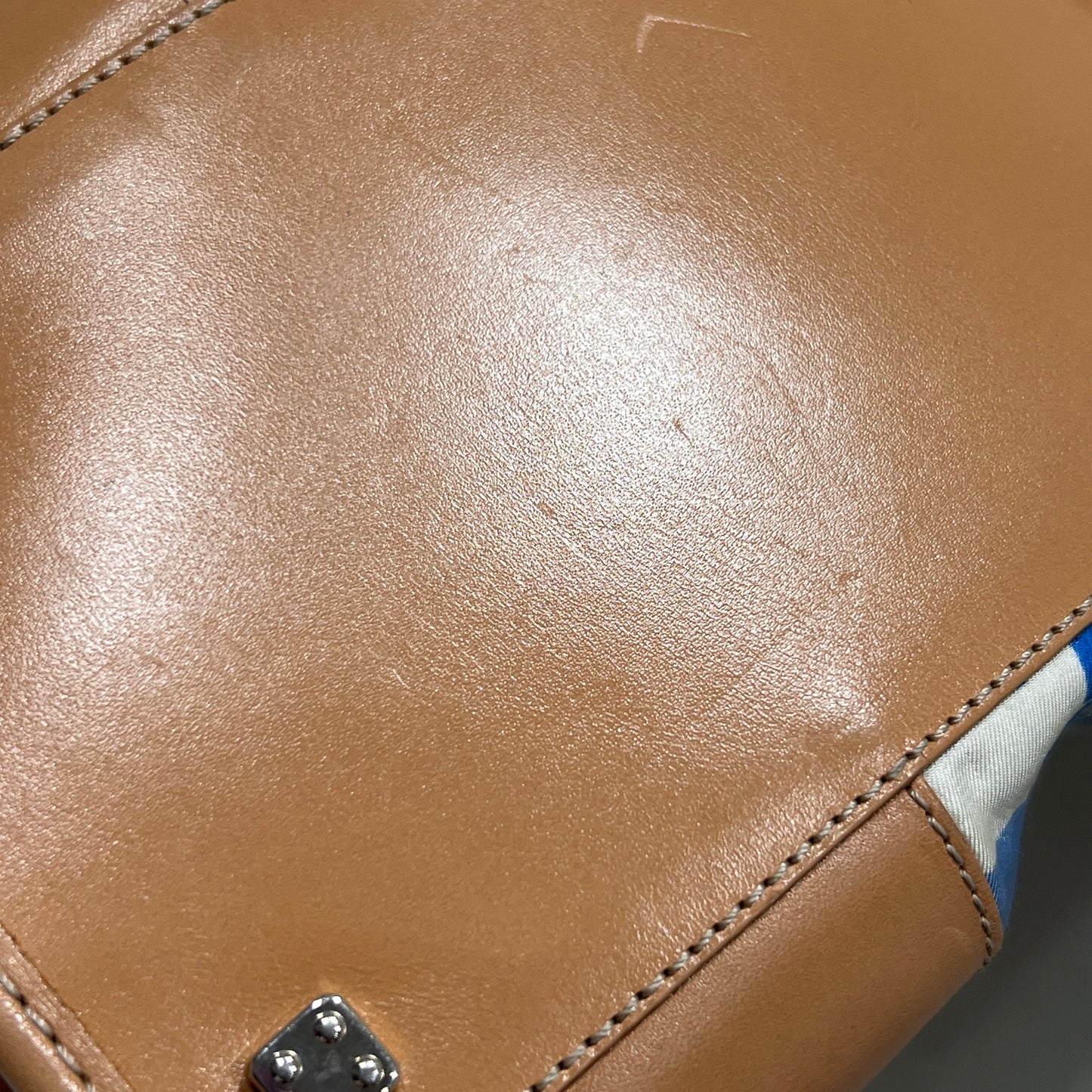 LOEWE Amazona in Blue