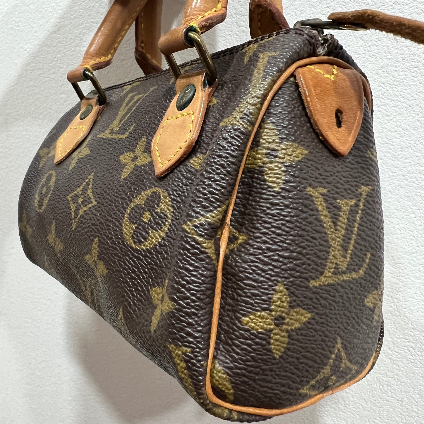 LOUIS VUITTON Nano Speedy