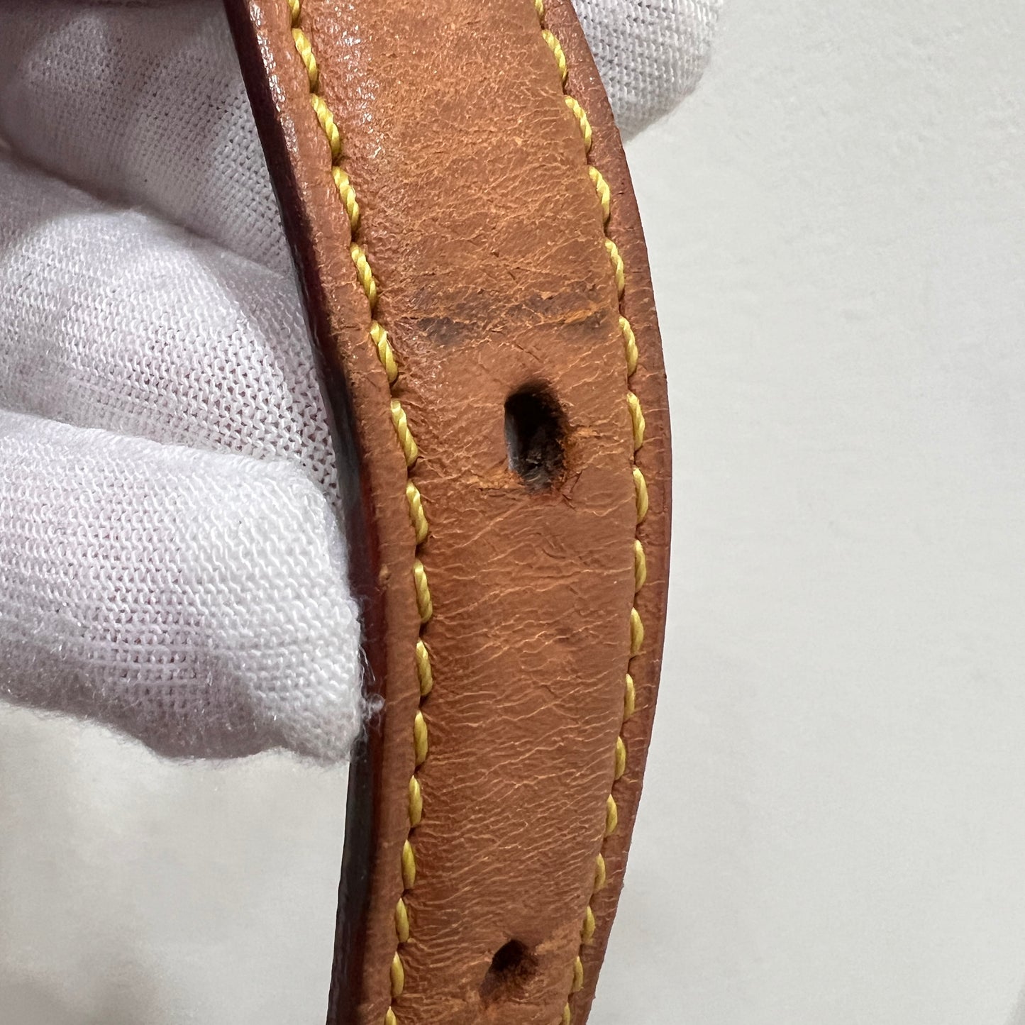 LOUIS VUITTON Tambourin 2019’s