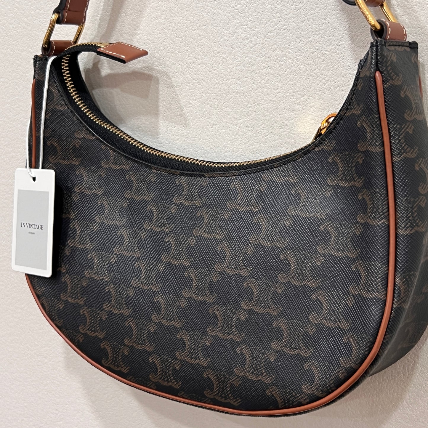 CELINE Ava Bag Triomphe Canvas
