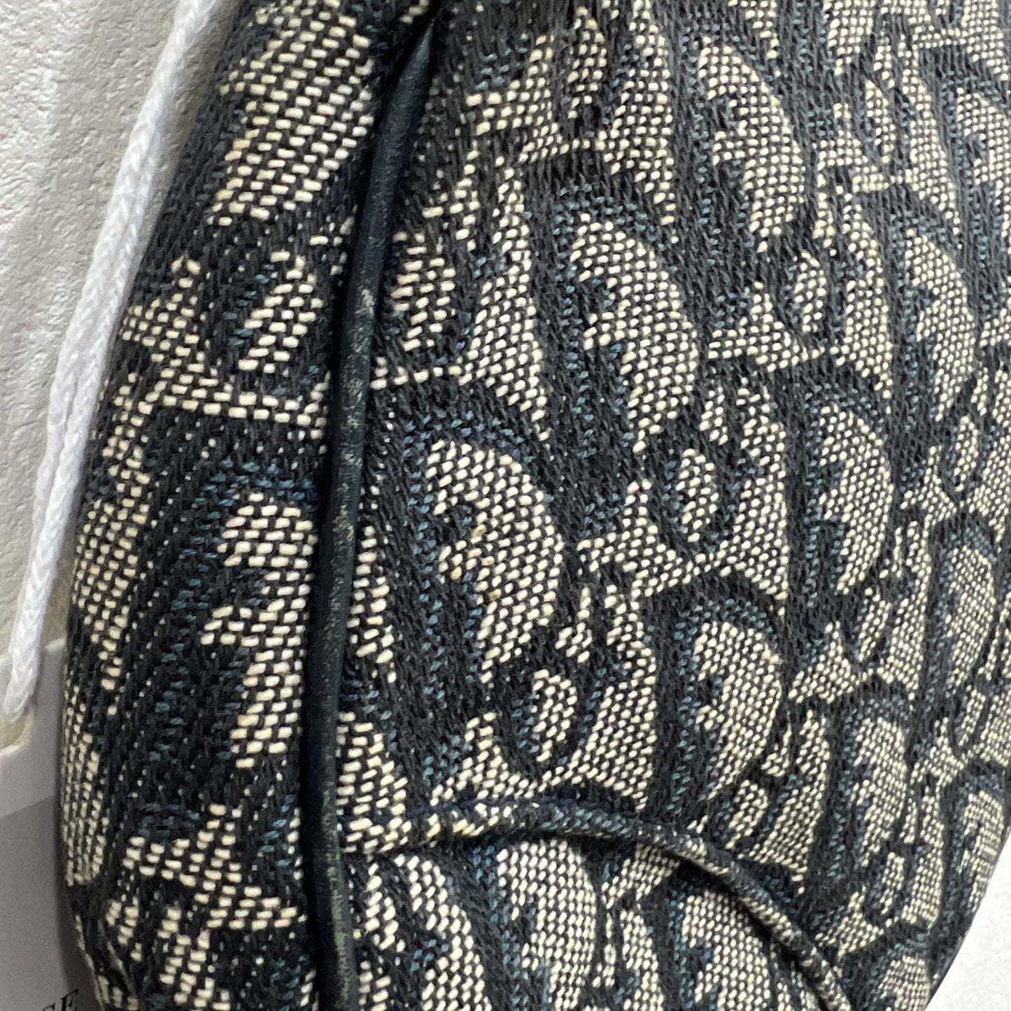 DIOR Saddle
