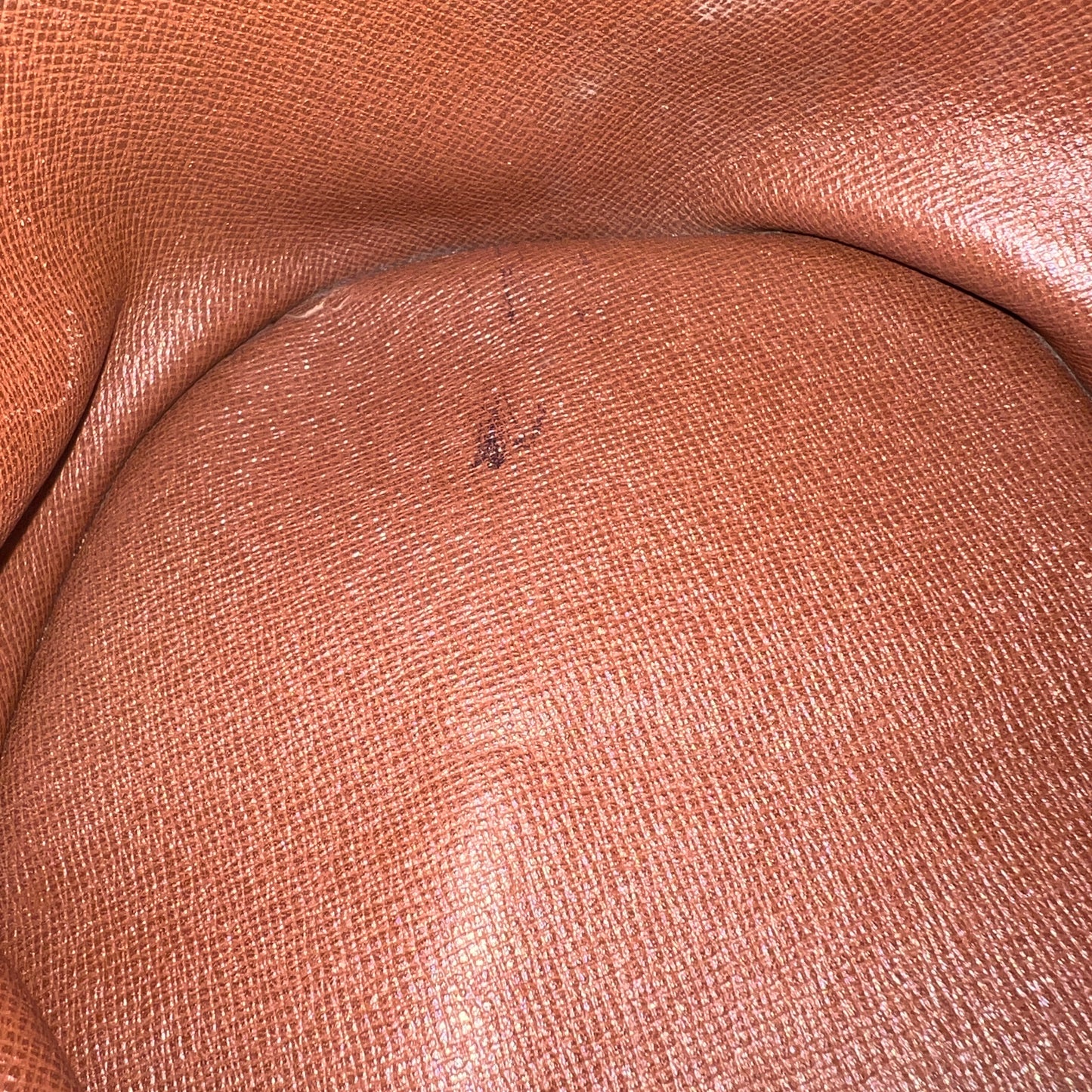 LOUIS VUITTON Papillon 30cm