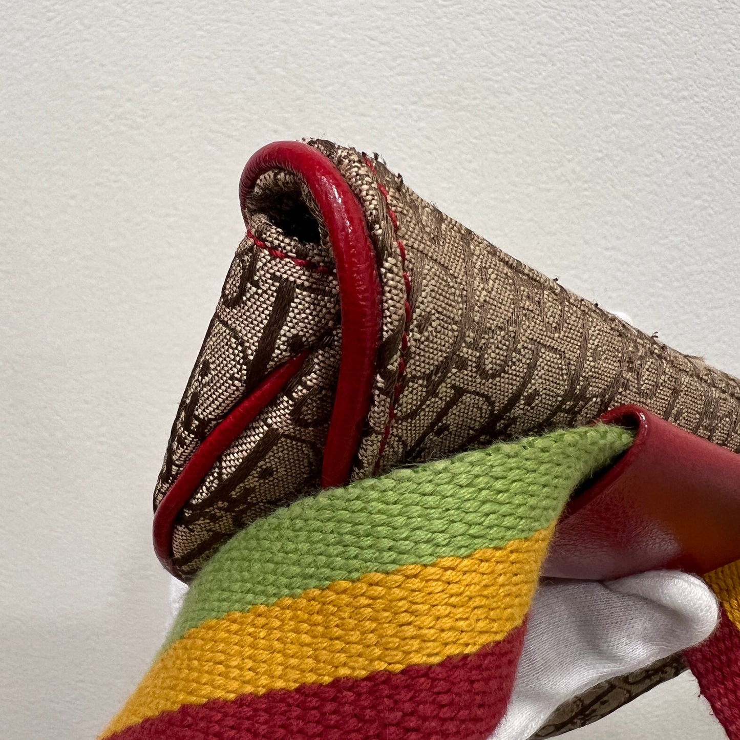 DIOR Rasta Trotter Belt Bag