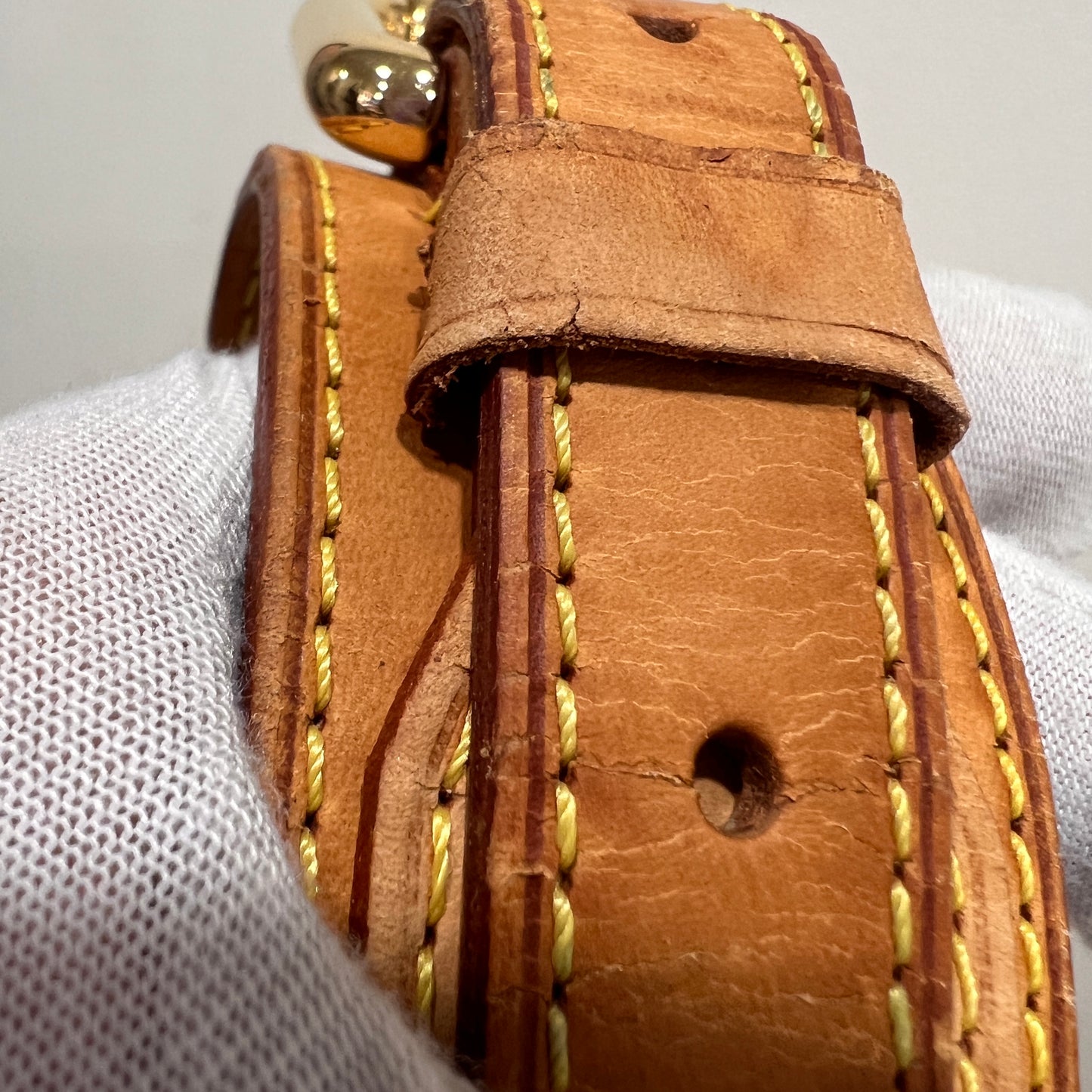 LOUIS VUITTON X Murakami Noe Multicolored