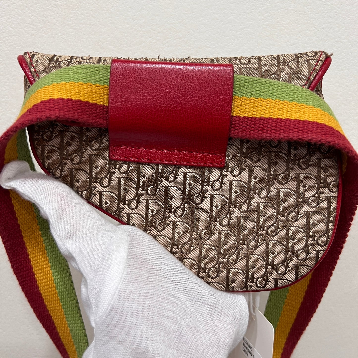 DIOR Rasta Trotter Belt Bag