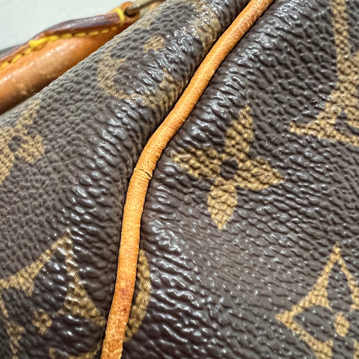 LOUIS VUITTON Speedy 25 cm
