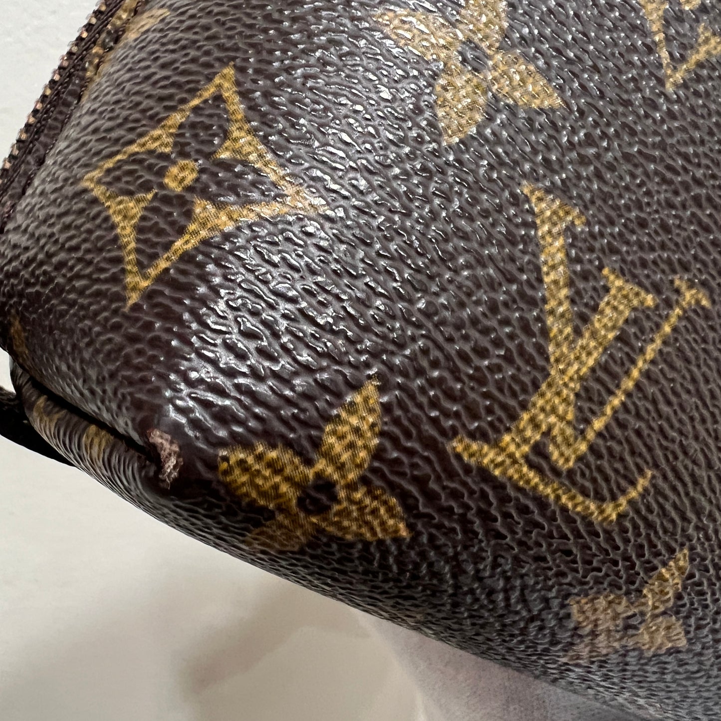 LOUIS VUITTON Toiletry Pouch