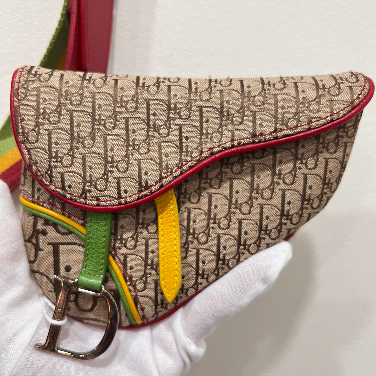 DIOR Rasta Trotter Belt Bag