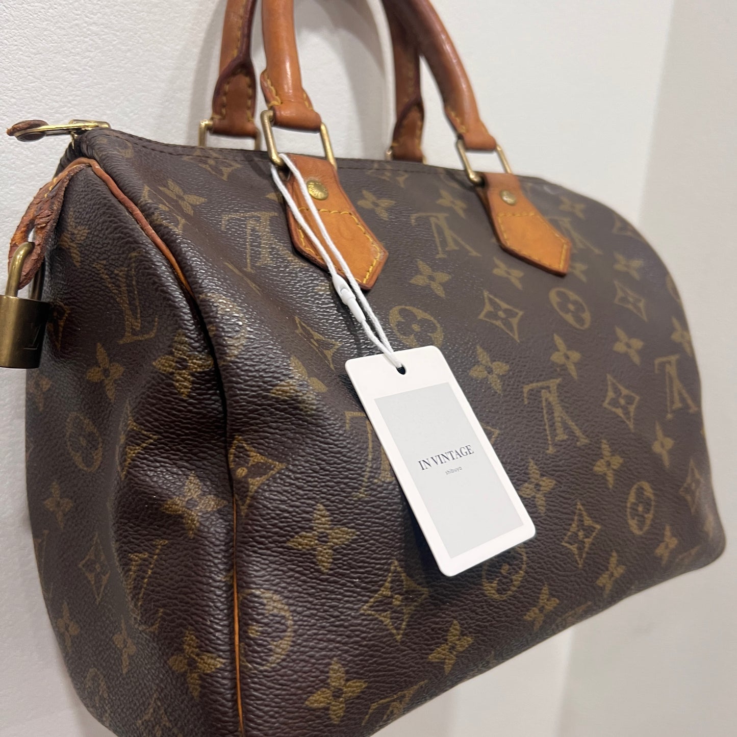 LOUIS VUITTON Speedy 25cm