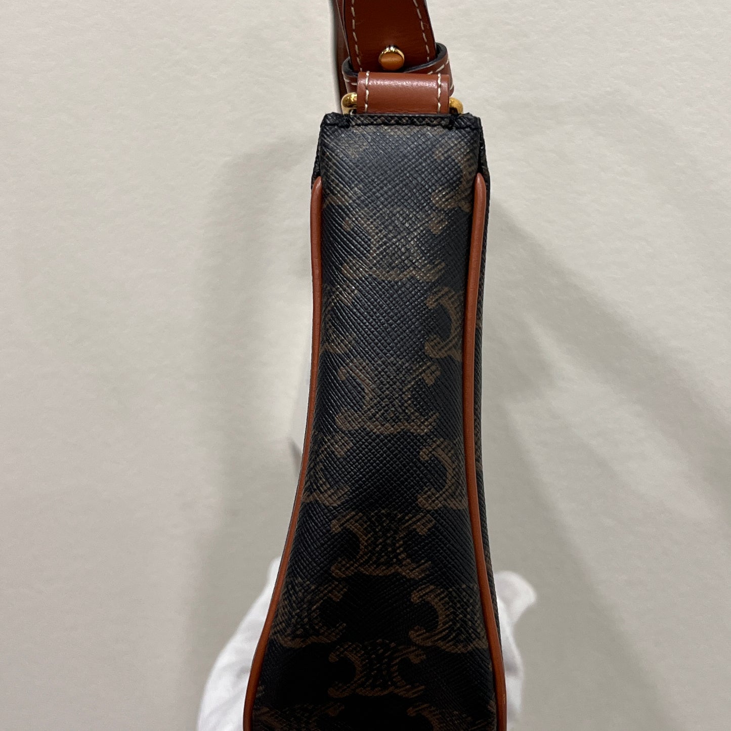 CELINE Ava Bag Triomphe Canvas