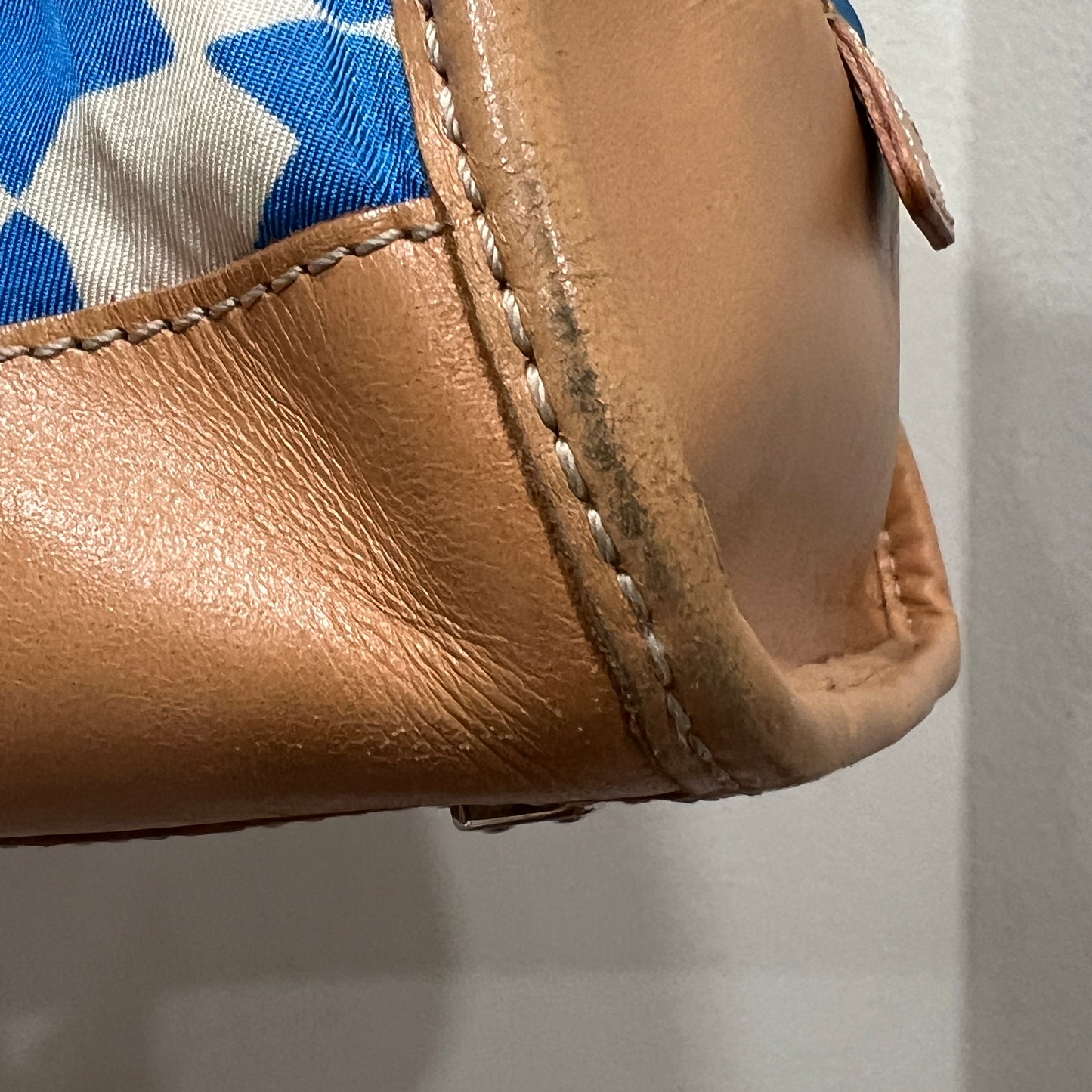 LOEWE Amazona in Blue