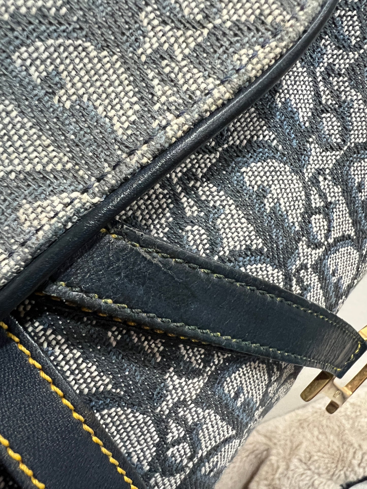 DIOR Double Saddle Bag