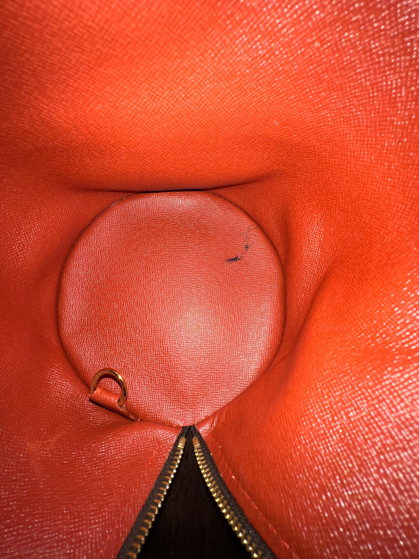 LOUIS VUITTON DAMIER PAPILLON