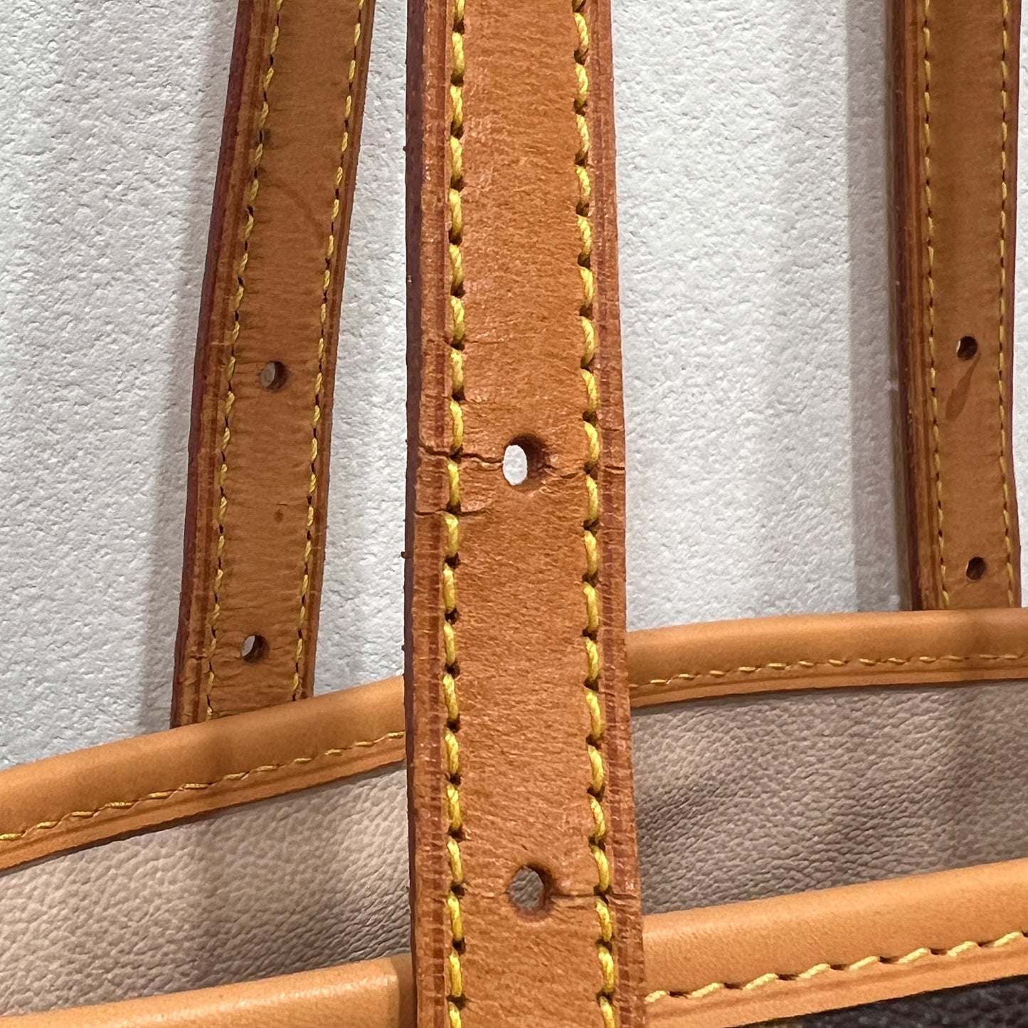 LOUIS VUITTON Bucket Bag PM