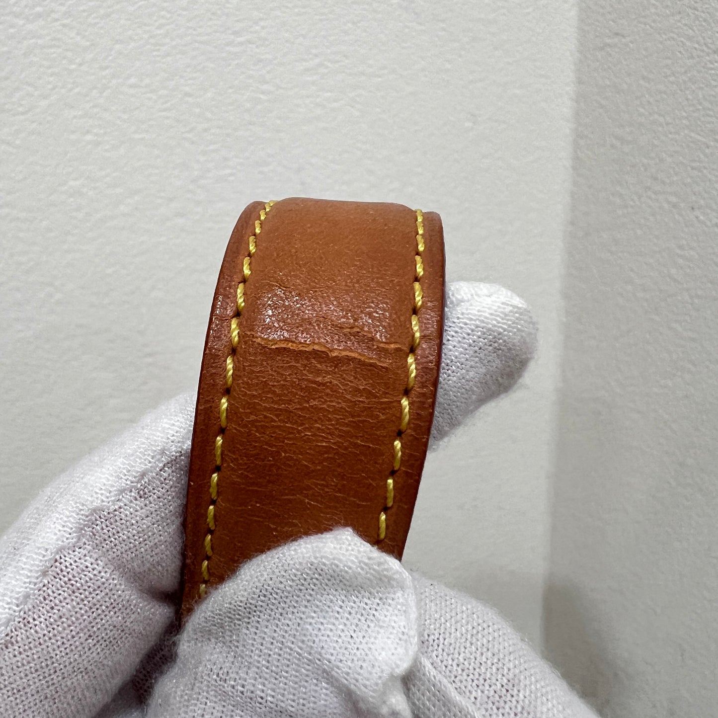 LOUIS VUITTON Tambourin 2019’s