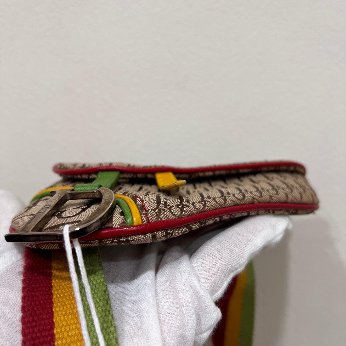 DIOR Rasta Trotter Belt Bag