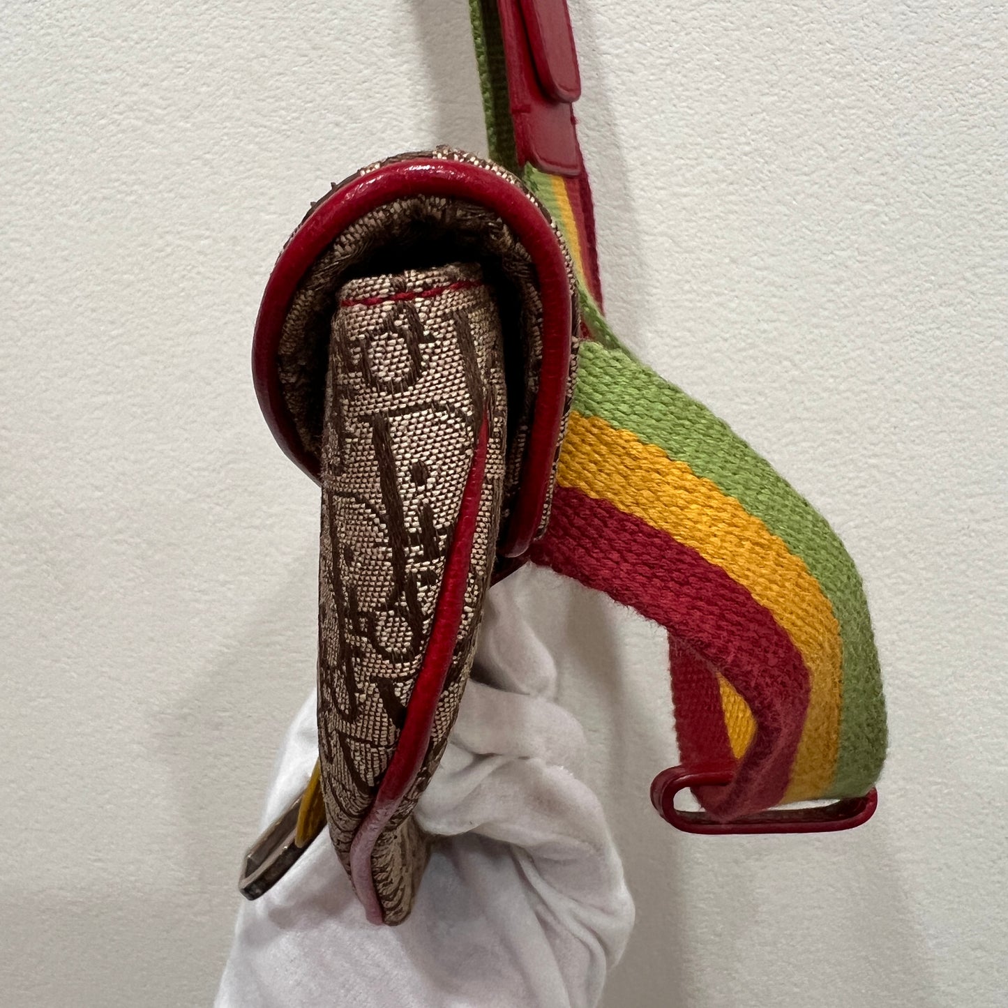 DIOR Rasta Trotter Belt Bag